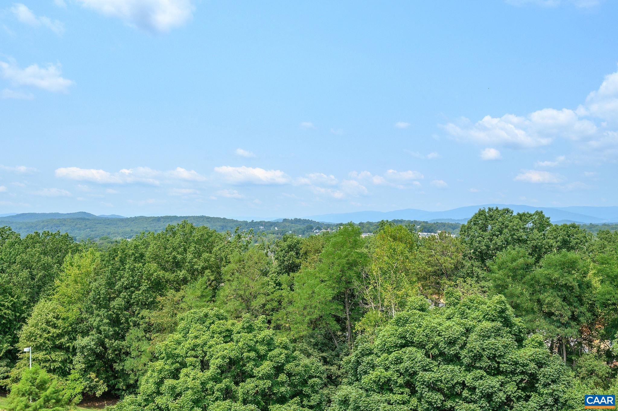 500 CRESTWOOD DR, CHARLOTTESVILLE, Virginia 22903, 2 Bedrooms Bedrooms, ,2 BathroomsBathrooms,Residential,500 CRESTWOOD DR,680002 MLS # 680002 500 CRESTWOOD DR, CHARLOTTESVILLE, Virginia 22903, 2 Bedrooms Bedrooms, ,2 BathroomsBathrooms,Residential,500 CRESTWOOD DR,680002 MLS # 680002