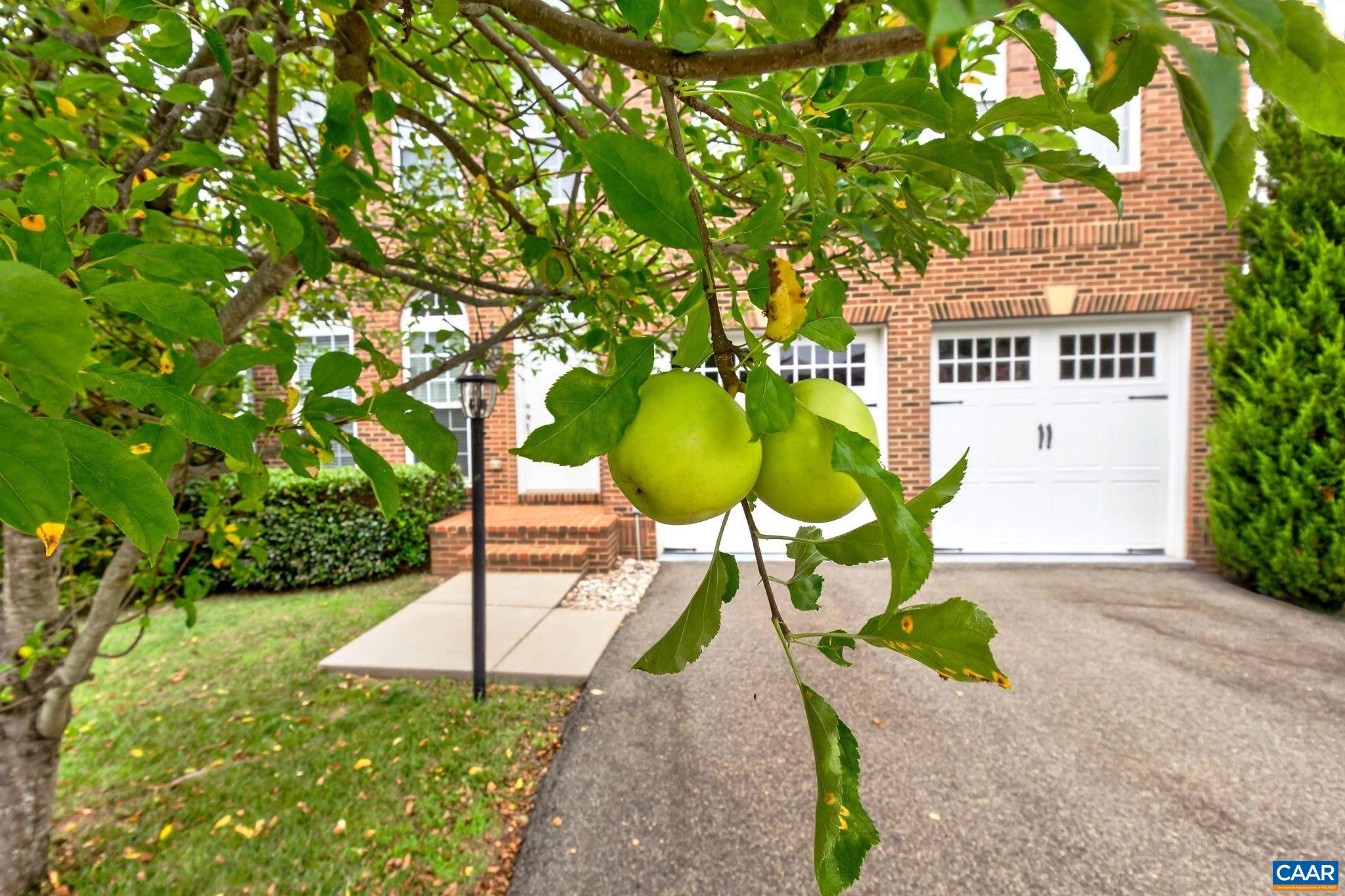 97 LAKEVIEW CT, ZION CROSSROADS, Virginia 22942, 4 Bedrooms Bedrooms, ,4 BathroomsBathrooms,Residential,97 LAKEVIEW CT,680018 MLS # 680018