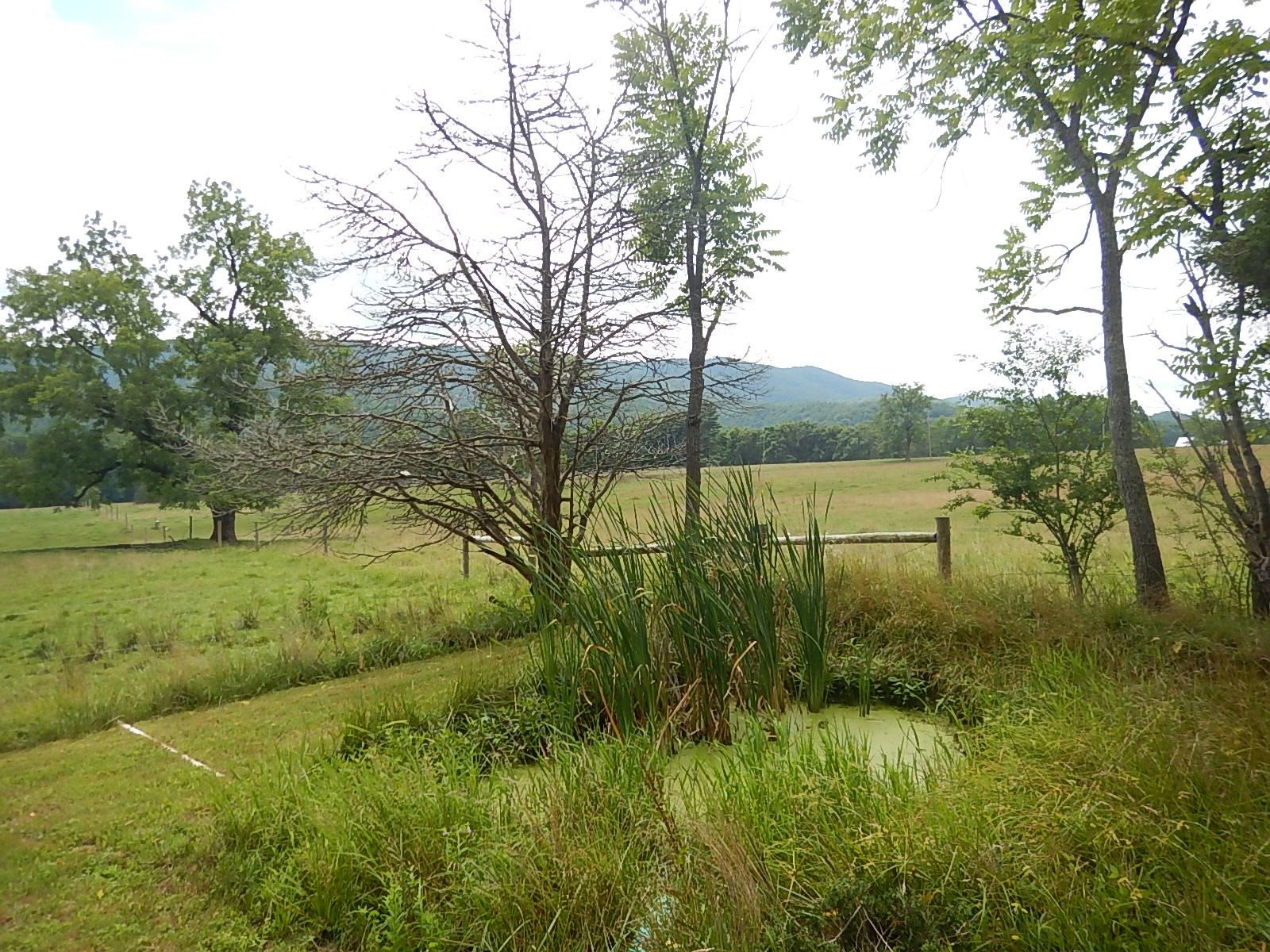 1964 MARBLE VALLEY RD, DEERFIELD, Virginia 24432, 3 Bedrooms Bedrooms, ,1 BathroomBathrooms,Residential,1964 MARBLE VALLEY RD,680020 MLS # 680020 1964 MARBLE VALLEY RD, DEERFIELD, Virginia 24432, 3 Bedrooms Bedrooms, ,1 BathroomBathrooms,Residential,1964 MARBLE VALLEY RD,680020 MLS # 680020