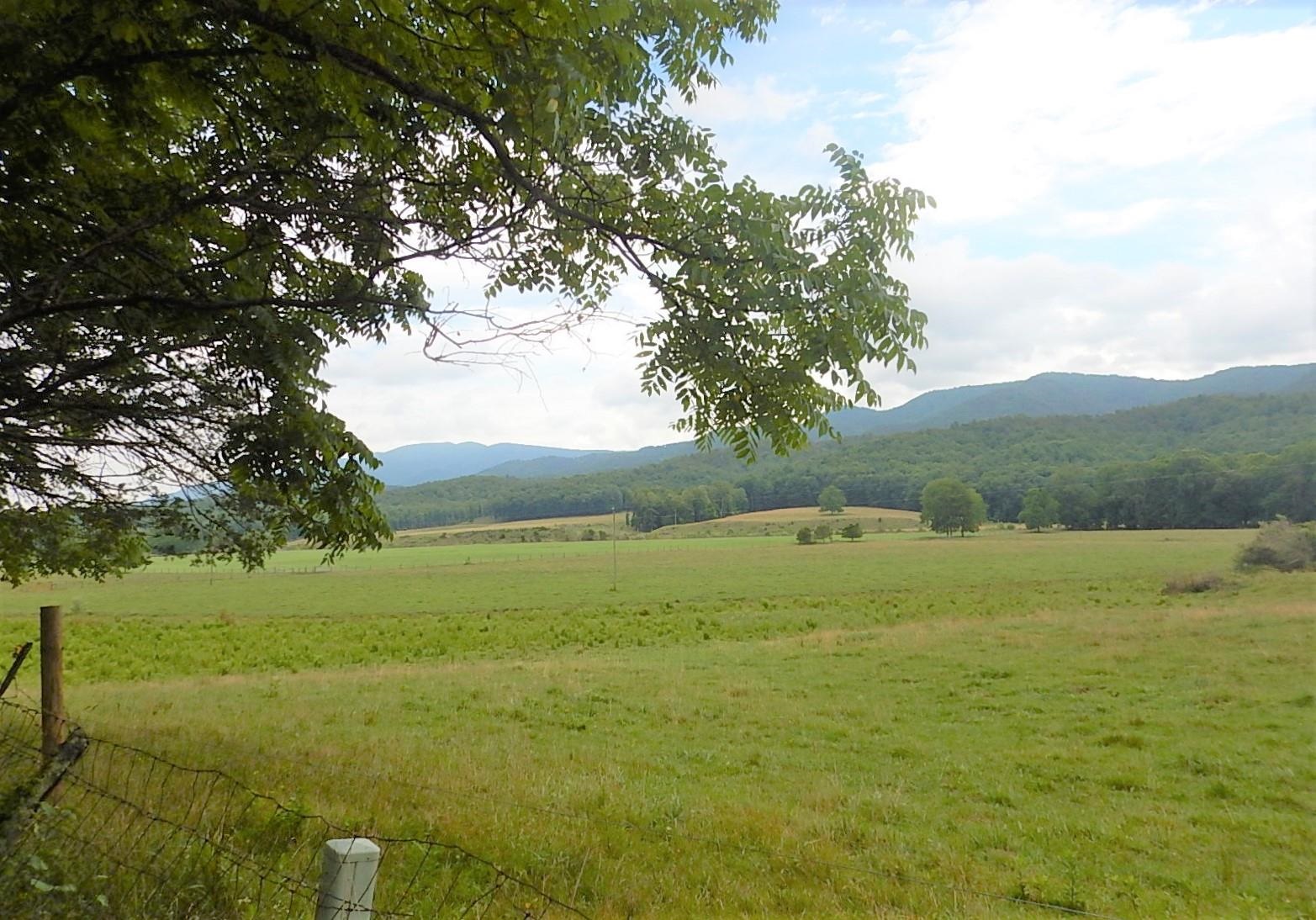 1964 MARBLE VALLEY RD, DEERFIELD, Virginia 24432, 3 Bedrooms Bedrooms, ,1 BathroomBathrooms,Residential,1964 MARBLE VALLEY RD,680020 MLS # 680020 1964 MARBLE VALLEY RD, DEERFIELD, Virginia 24432, 3 Bedrooms Bedrooms, ,1 BathroomBathrooms,Residential,1964 MARBLE VALLEY RD,680020 MLS # 680020