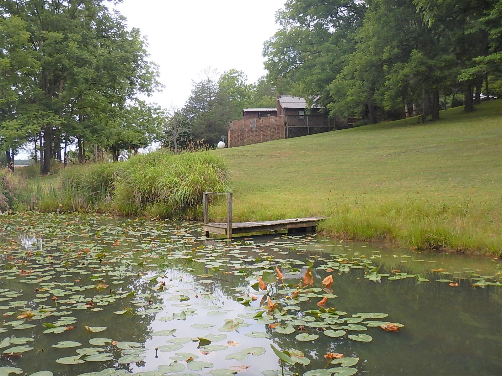 1964 MARBLE VALLEY RD, DEERFIELD, Virginia 24432, 3 Bedrooms Bedrooms, ,1 BathroomBathrooms,Residential,1964 MARBLE VALLEY RD,680020 MLS # 680020 1964 MARBLE VALLEY RD, DEERFIELD, Virginia 24432, 3 Bedrooms Bedrooms, ,1 BathroomBathrooms,Residential,1964 MARBLE VALLEY RD,680020 MLS # 680020