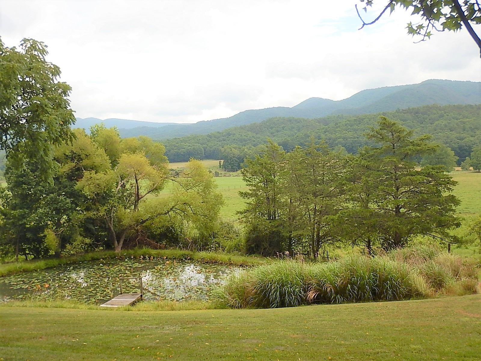 1964 MARBLE VALLEY RD, DEERFIELD, Virginia 24432, 3 Bedrooms Bedrooms, ,1 BathroomBathrooms,Residential,1964 MARBLE VALLEY RD,680020 MLS # 680020 1964 MARBLE VALLEY RD, DEERFIELD, Virginia 24432, 3 Bedrooms Bedrooms, ,1 BathroomBathrooms,Residential,1964 MARBLE VALLEY RD,680020 MLS # 680020