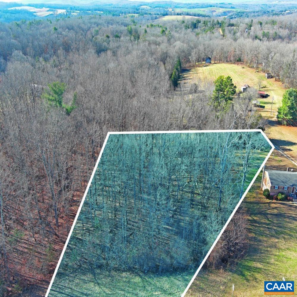 0 THOMAS NELSON HWY, ARRINGTON, Virginia 22922, ,Land,0 THOMAS NELSON HWY,673000 MLS # 673000 0 THOMAS NELSON HWY, ARRINGTON, Virginia 22922, ,Land,0 THOMAS NELSON HWY,673000 MLS # 673000