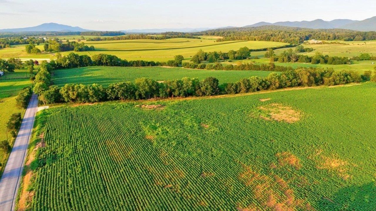 TBD BATTLEFIELD RD, GROTTOES, Virginia 24441, ,Land,TBD BATTLEFIELD RD,680062 MLS # 680062 TBD BATTLEFIELD RD, GROTTOES, Virginia 24441, ,Land,TBD BATTLEFIELD RD,680062 MLS # 680062