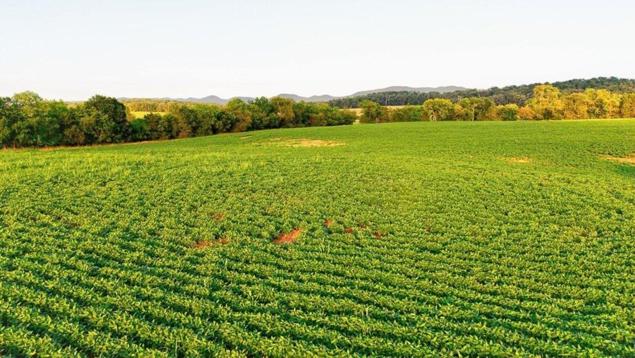 TBD BATTLEFIELD RD, GROTTOES, Virginia 24441, ,Land,TBD BATTLEFIELD RD,680062 MLS # 680062 TBD BATTLEFIELD RD, GROTTOES, Virginia 24441, ,Land,TBD BATTLEFIELD RD,680062 MLS # 680062