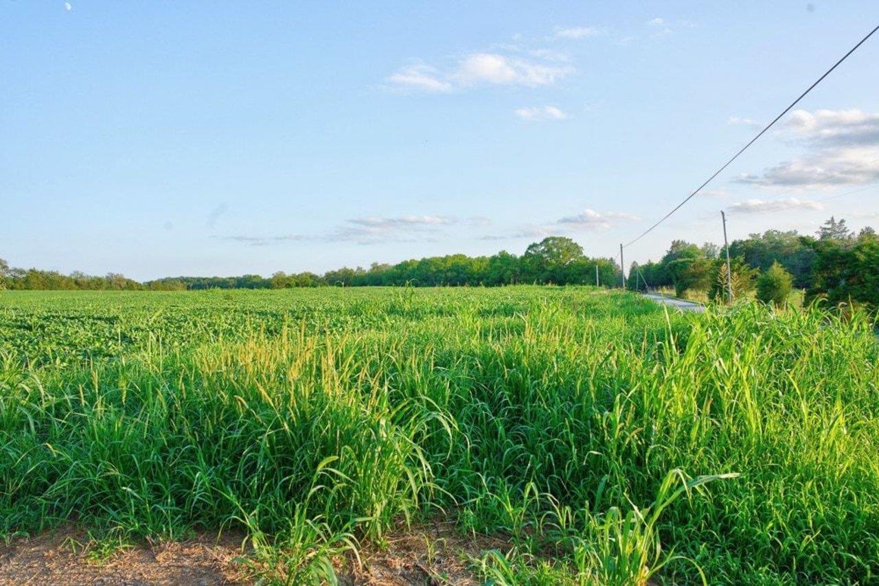 TBD BATTLEFIELD RD, GROTTOES, Virginia 24441, ,Land,TBD BATTLEFIELD RD,680062 MLS # 680062 TBD BATTLEFIELD RD, GROTTOES, Virginia 24441, ,Land,TBD BATTLEFIELD RD,680062 MLS # 680062