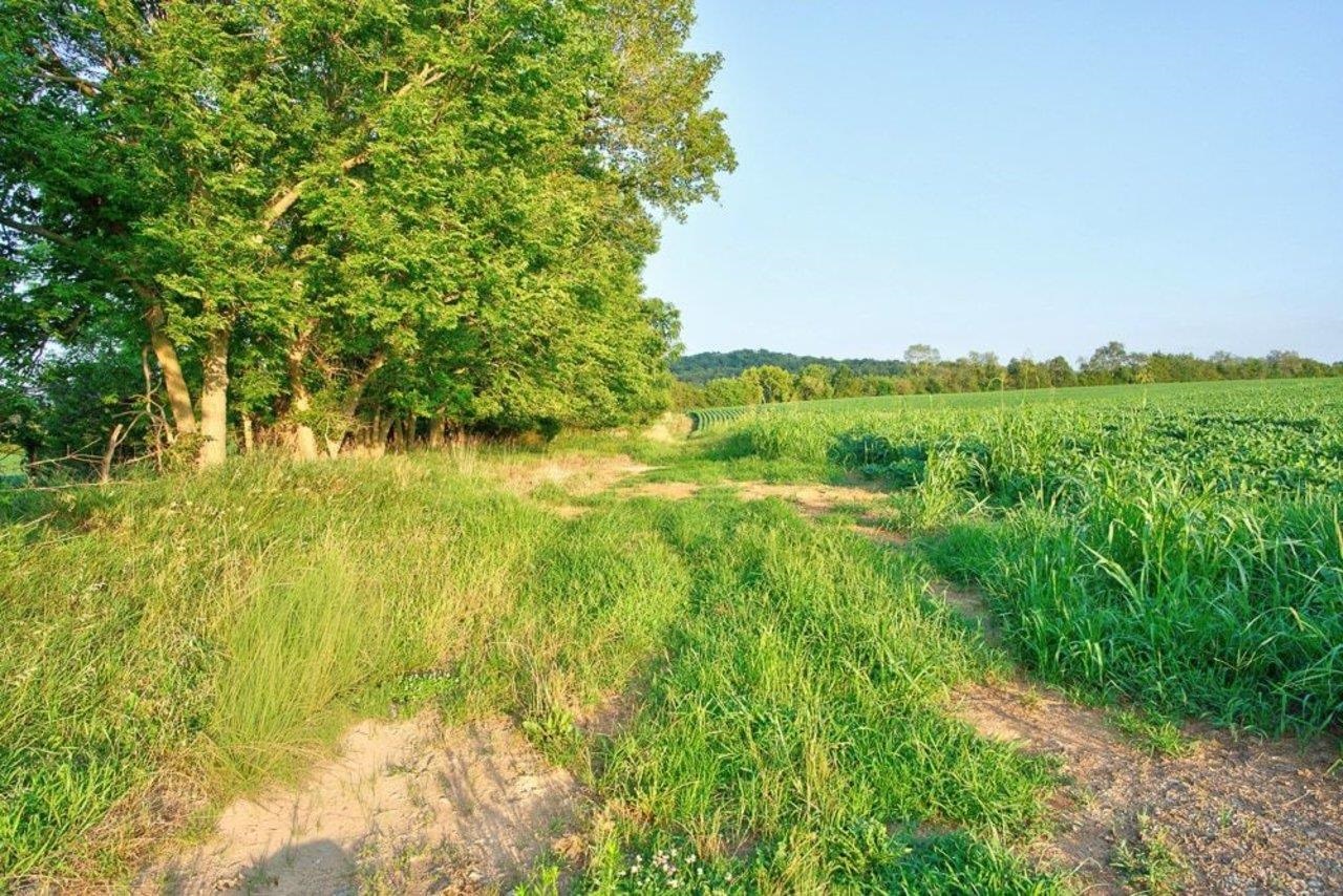 TBD BATTLEFIELD RD, GROTTOES, Virginia 24441, ,Land,TBD BATTLEFIELD RD,680062 MLS # 680062 TBD BATTLEFIELD RD, GROTTOES, Virginia 24441, ,Land,TBD BATTLEFIELD RD,680062 MLS # 680062