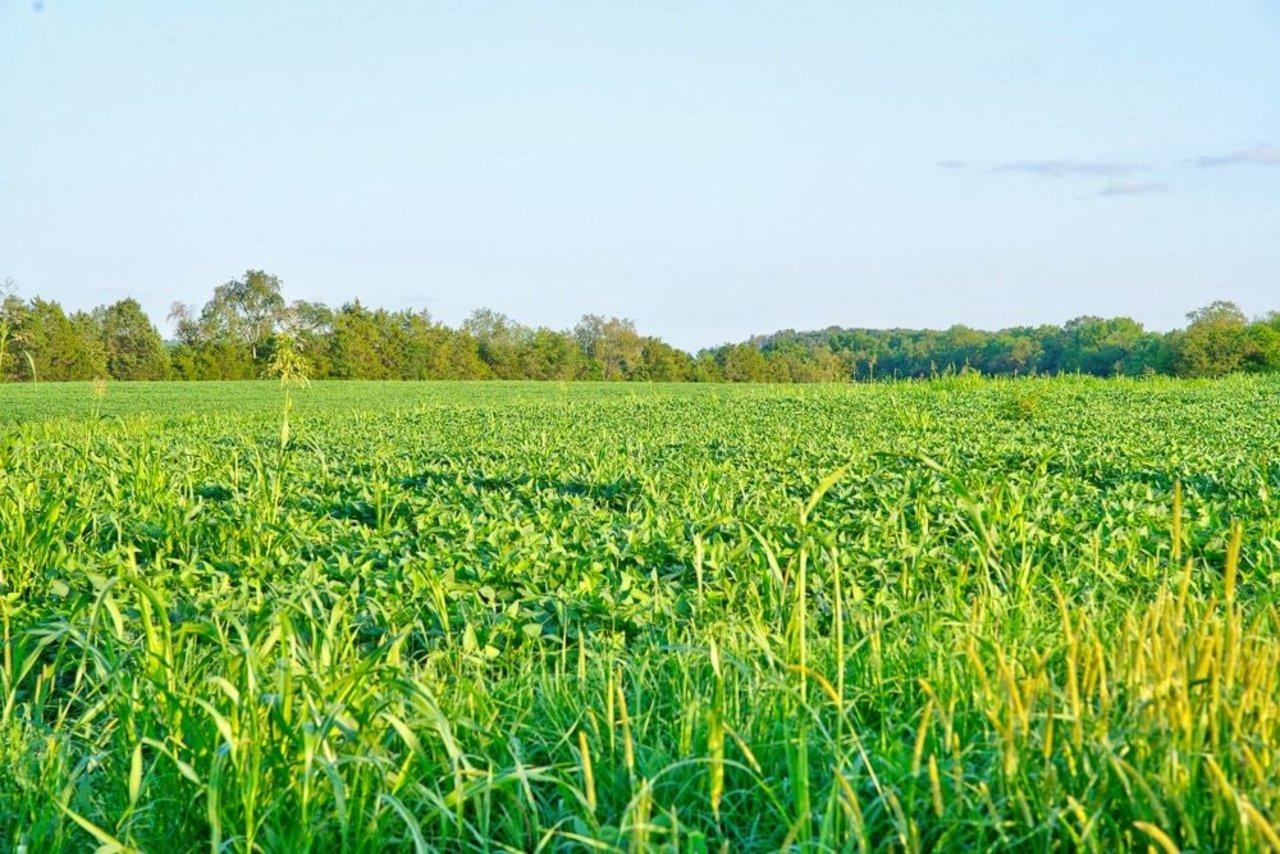 TBD BATTLEFIELD RD, GROTTOES, Virginia 24441, ,Land,TBD BATTLEFIELD RD,680062 MLS # 680062 TBD BATTLEFIELD RD, GROTTOES, Virginia 24441, ,Land,TBD BATTLEFIELD RD,680062 MLS # 680062
