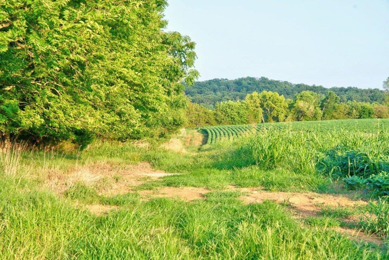 TBD BATTLEFIELD RD, GROTTOES, Virginia 24441, ,Land,TBD BATTLEFIELD RD,680062 MLS # 680062 TBD BATTLEFIELD RD, GROTTOES, Virginia 24441, ,Land,TBD BATTLEFIELD RD,680062 MLS # 680062