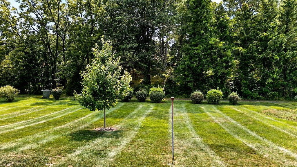 1243 MEADOWBROOK RD, WAYNESBORO, Virginia 22980, 4 Bedrooms Bedrooms, ,2 BathroomsBathrooms,Residential,1243 MEADOWBROOK RD,680064 MLS # 680064 1243 MEADOWBROOK RD, WAYNESBORO, Virginia 22980, 4 Bedrooms Bedrooms, ,2 BathroomsBathrooms,Residential,1243 MEADOWBROOK RD,680064 MLS # 680064