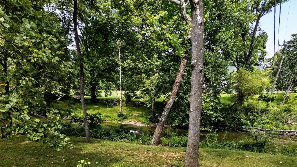1243 MEADOWBROOK RD, WAYNESBORO, Virginia 22980, 4 Bedrooms Bedrooms, ,2 BathroomsBathrooms,Residential,1243 MEADOWBROOK RD,680064 MLS # 680064 1243 MEADOWBROOK RD, WAYNESBORO, Virginia 22980, 4 Bedrooms Bedrooms, ,2 BathroomsBathrooms,Residential,1243 MEADOWBROOK RD,680064 MLS # 680064
