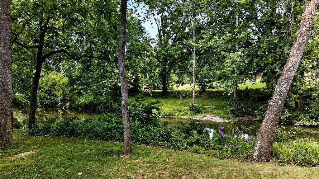 1243 MEADOWBROOK RD, WAYNESBORO, Virginia 22980, 4 Bedrooms Bedrooms, ,2 BathroomsBathrooms,Residential,1243 MEADOWBROOK RD,680064 MLS # 680064 1243 MEADOWBROOK RD, WAYNESBORO, Virginia 22980, 4 Bedrooms Bedrooms, ,2 BathroomsBathrooms,Residential,1243 MEADOWBROOK RD,680064 MLS # 680064