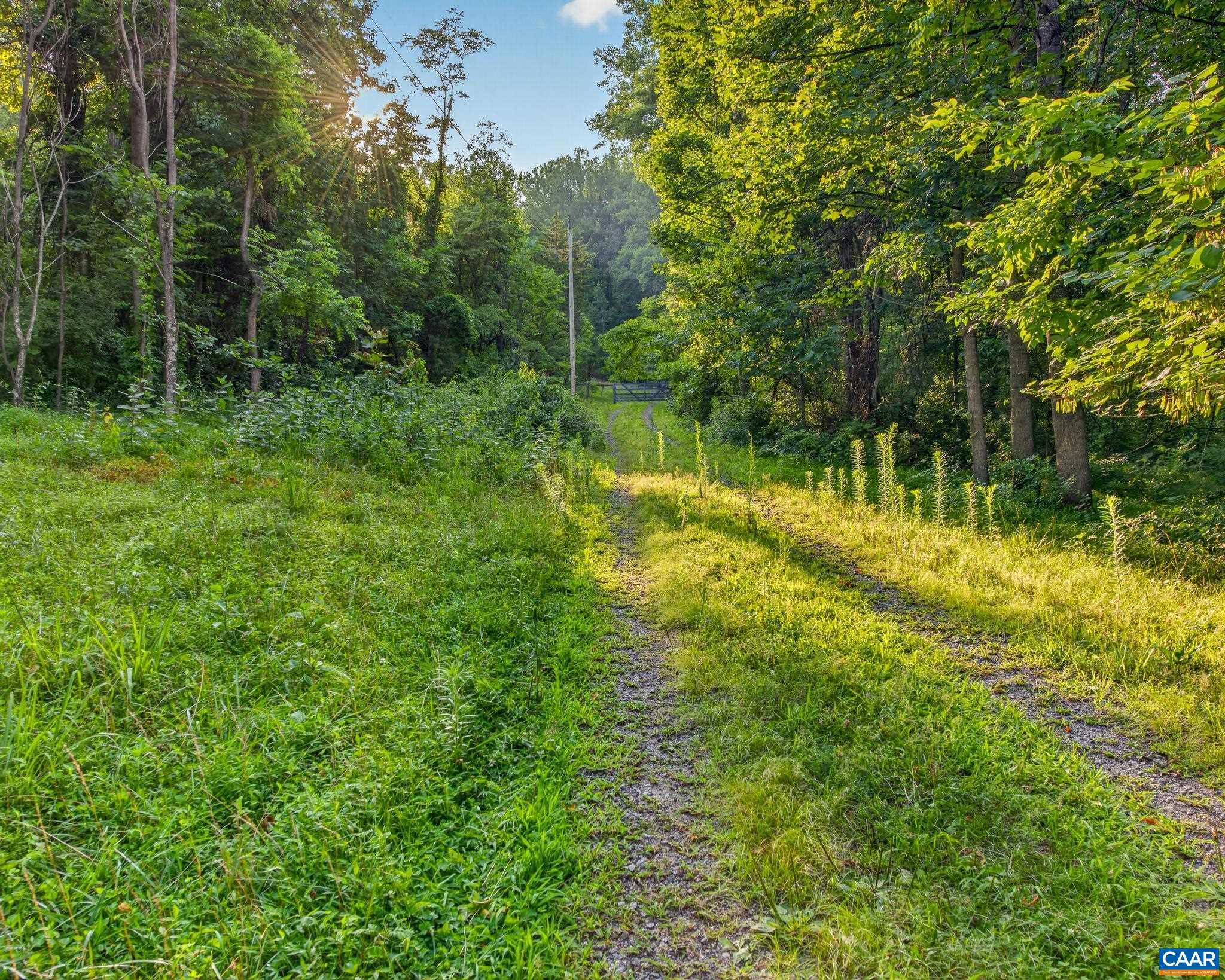 329 JONES MOUNTAIN RD, MADISON, Virginia 22727, 2 Bedrooms Bedrooms, ,2 BathroomsBathrooms,Residential,329 JONES MOUNTAIN RD,679960 MLS # 679960