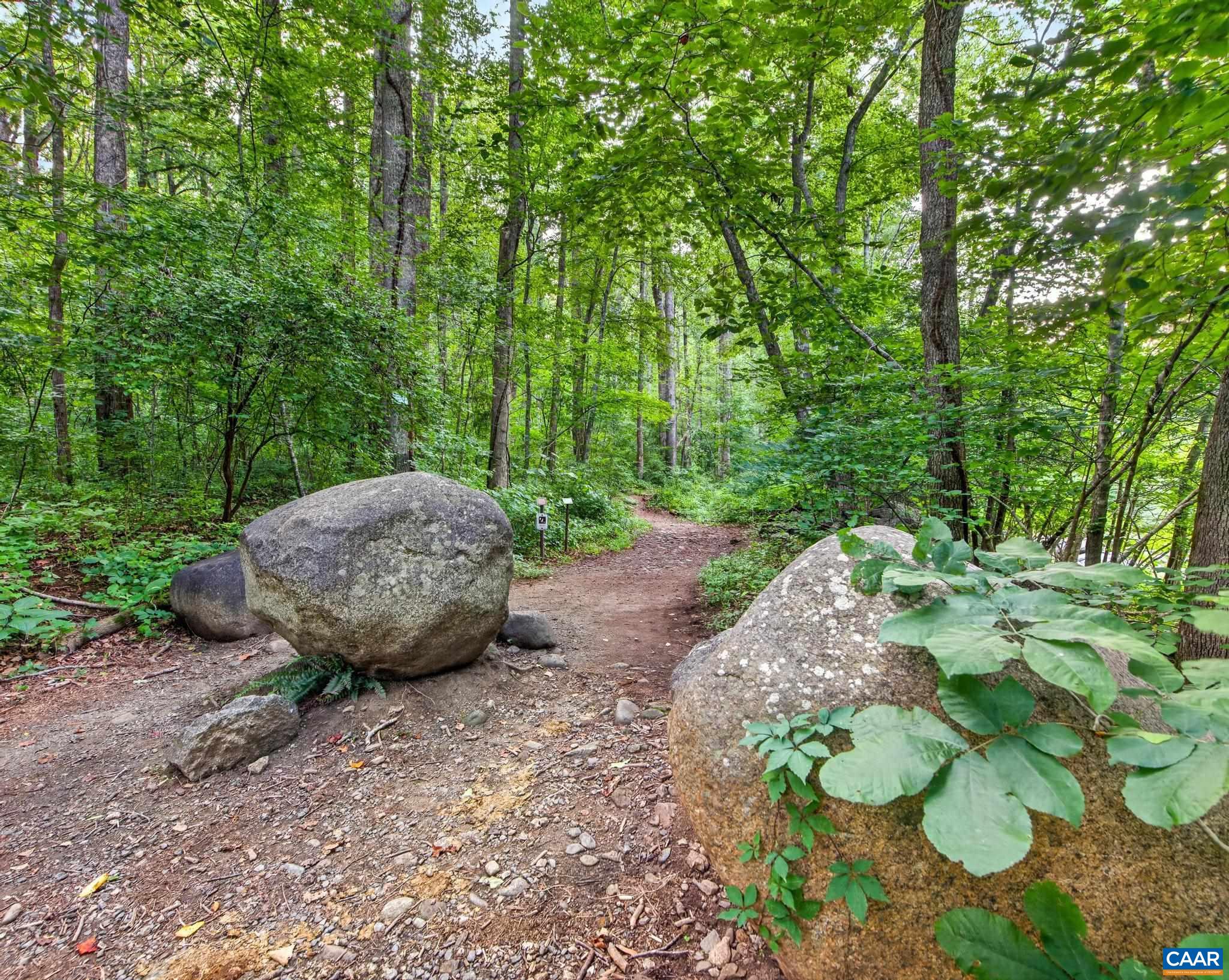 329 JONES MOUNTAIN RD, MADISON, Virginia 22727, 2 Bedrooms Bedrooms, ,2 BathroomsBathrooms,Residential,329 JONES MOUNTAIN RD,679960 MLS # 679960