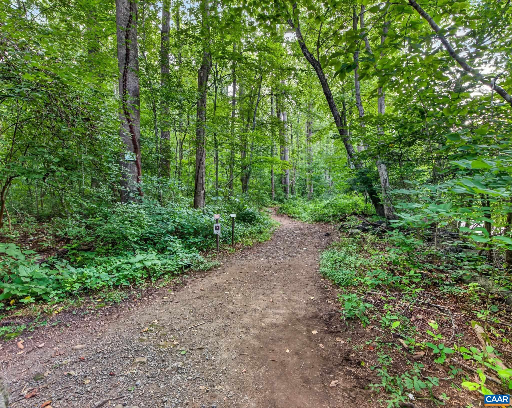 329 JONES MOUNTAIN RD, MADISON, Virginia 22727, 2 Bedrooms Bedrooms, ,2 BathroomsBathrooms,Residential,329 JONES MOUNTAIN RD,679960 MLS # 679960
