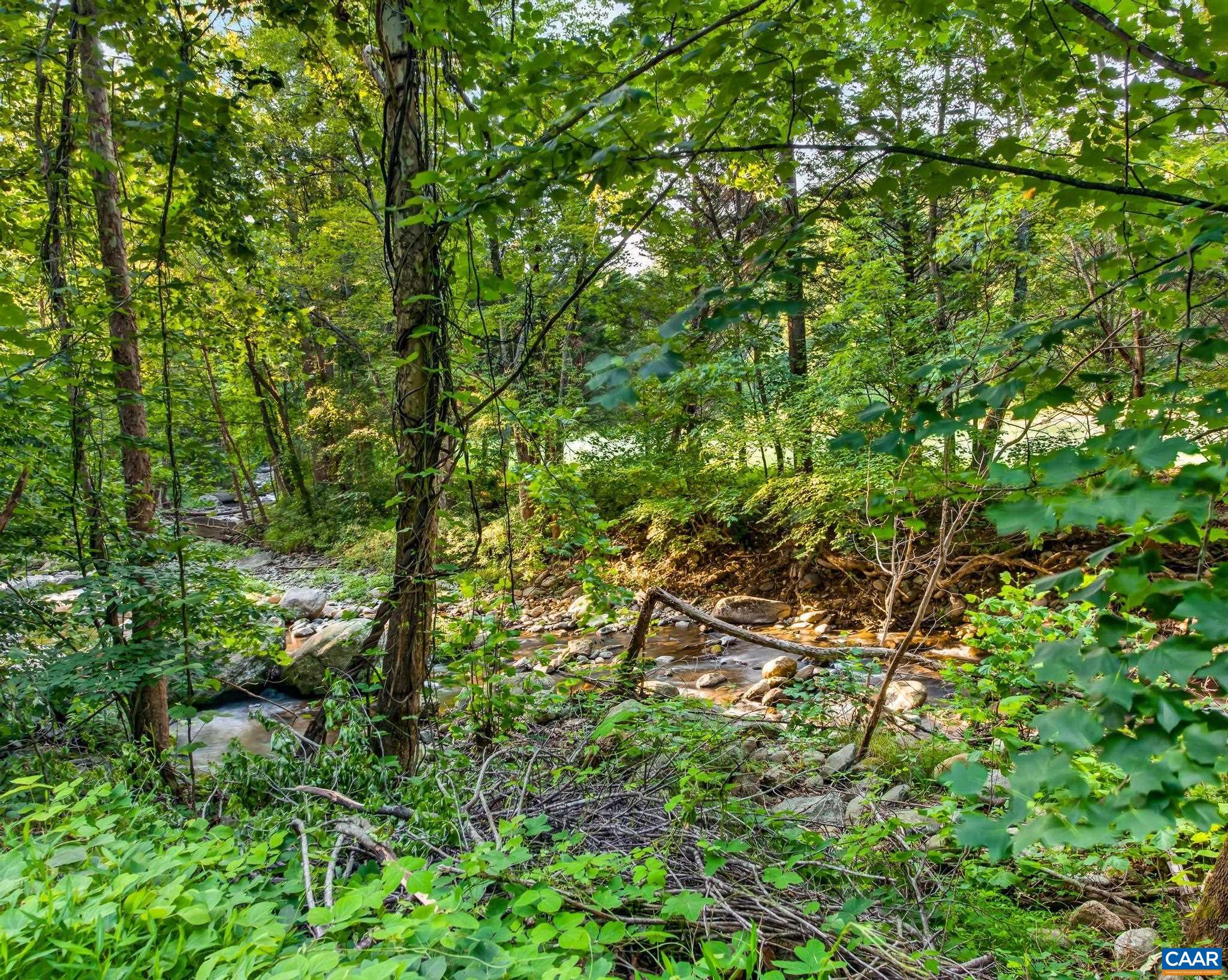 329 JONES MOUNTAIN RD, MADISON, Virginia 22727, 2 Bedrooms Bedrooms, ,2 BathroomsBathrooms,Residential,329 JONES MOUNTAIN RD,679960 MLS # 679960