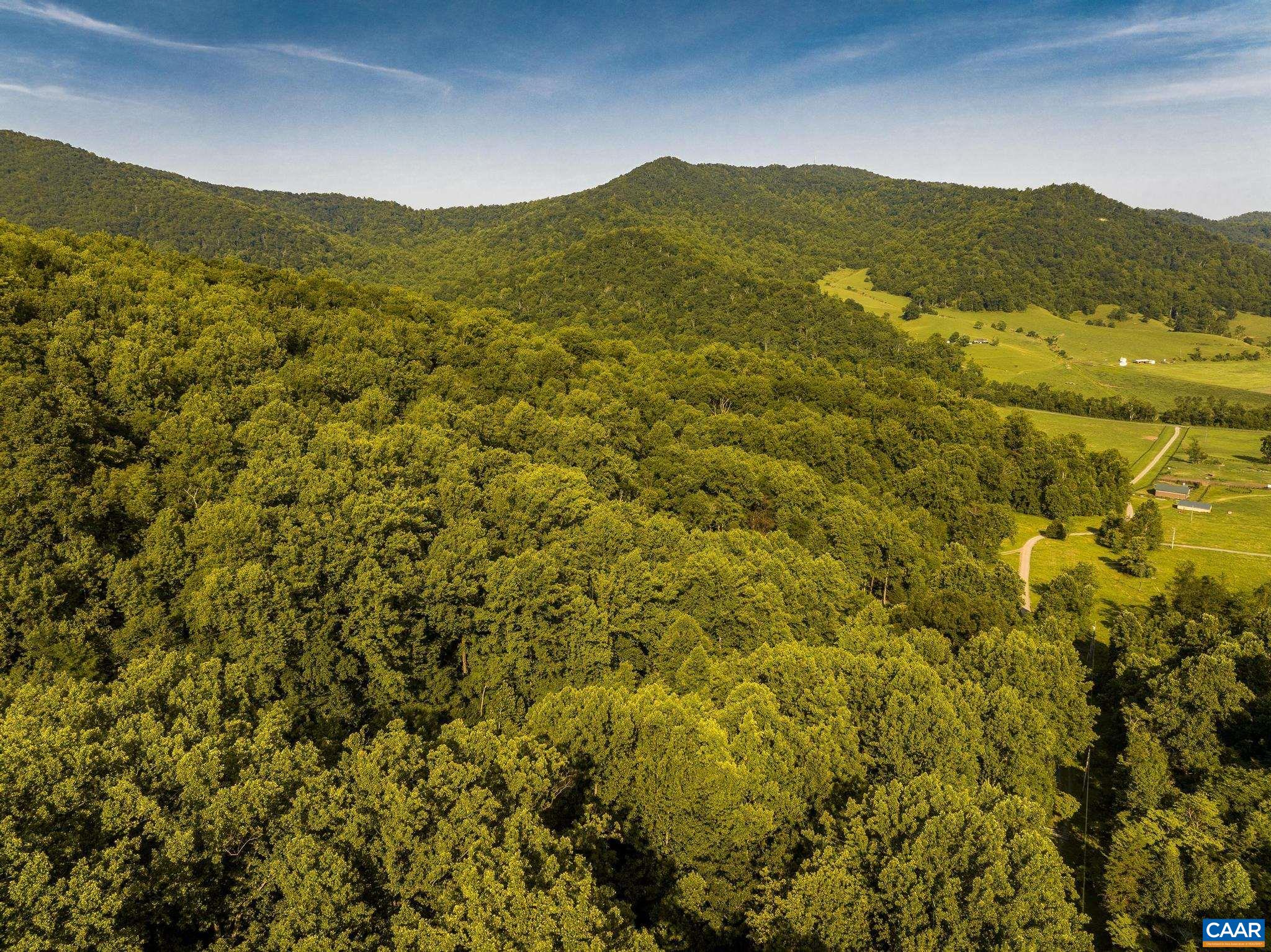 329 JONES MOUNTAIN RD, MADISON, Virginia 22727, 2 Bedrooms Bedrooms, ,2 BathroomsBathrooms,Residential,329 JONES MOUNTAIN RD,679960 MLS # 679960