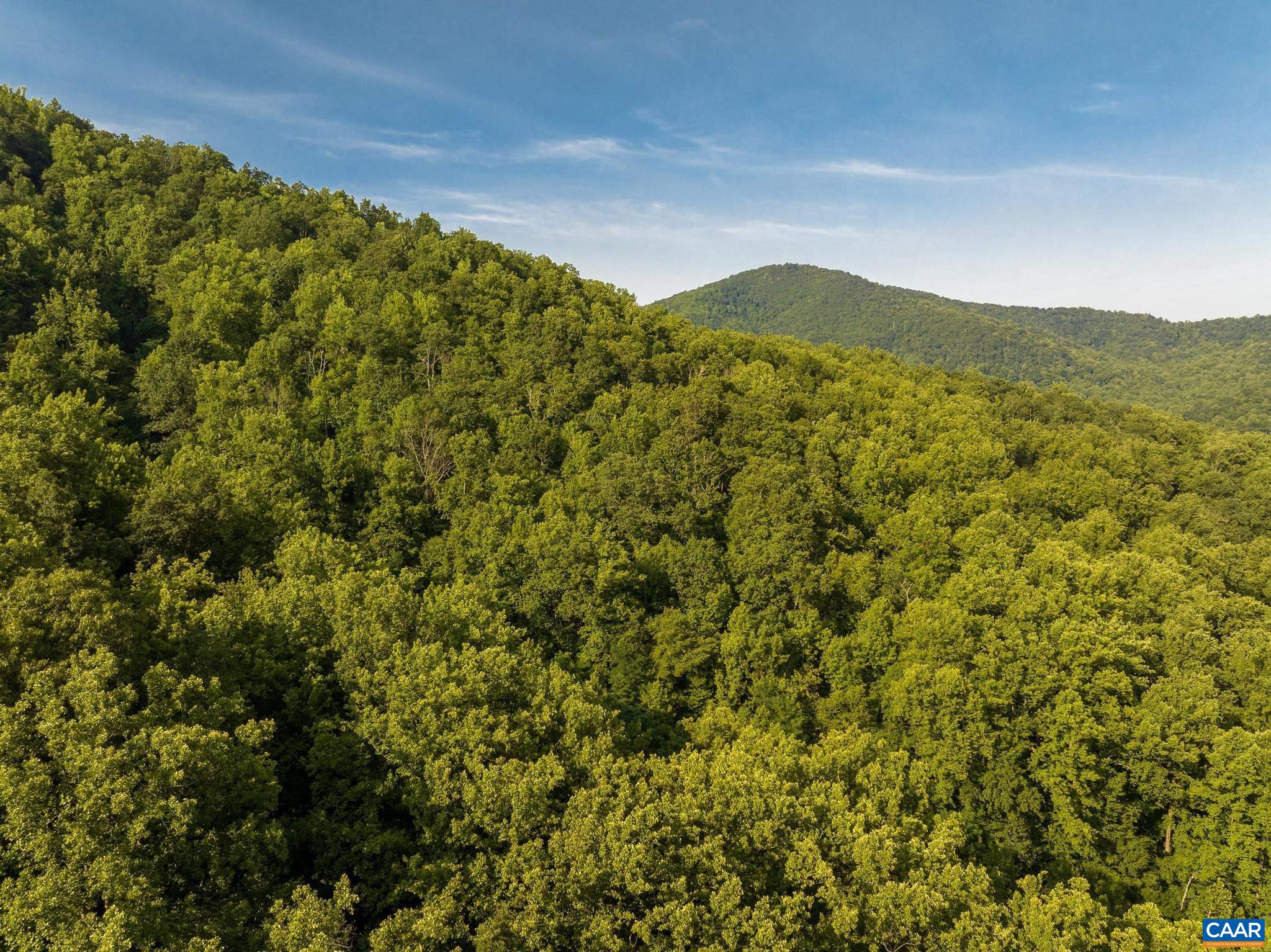 329 JONES MOUNTAIN RD, MADISON, Virginia 22727, 2 Bedrooms Bedrooms, ,2 BathroomsBathrooms,Residential,329 JONES MOUNTAIN RD,679960 MLS # 679960