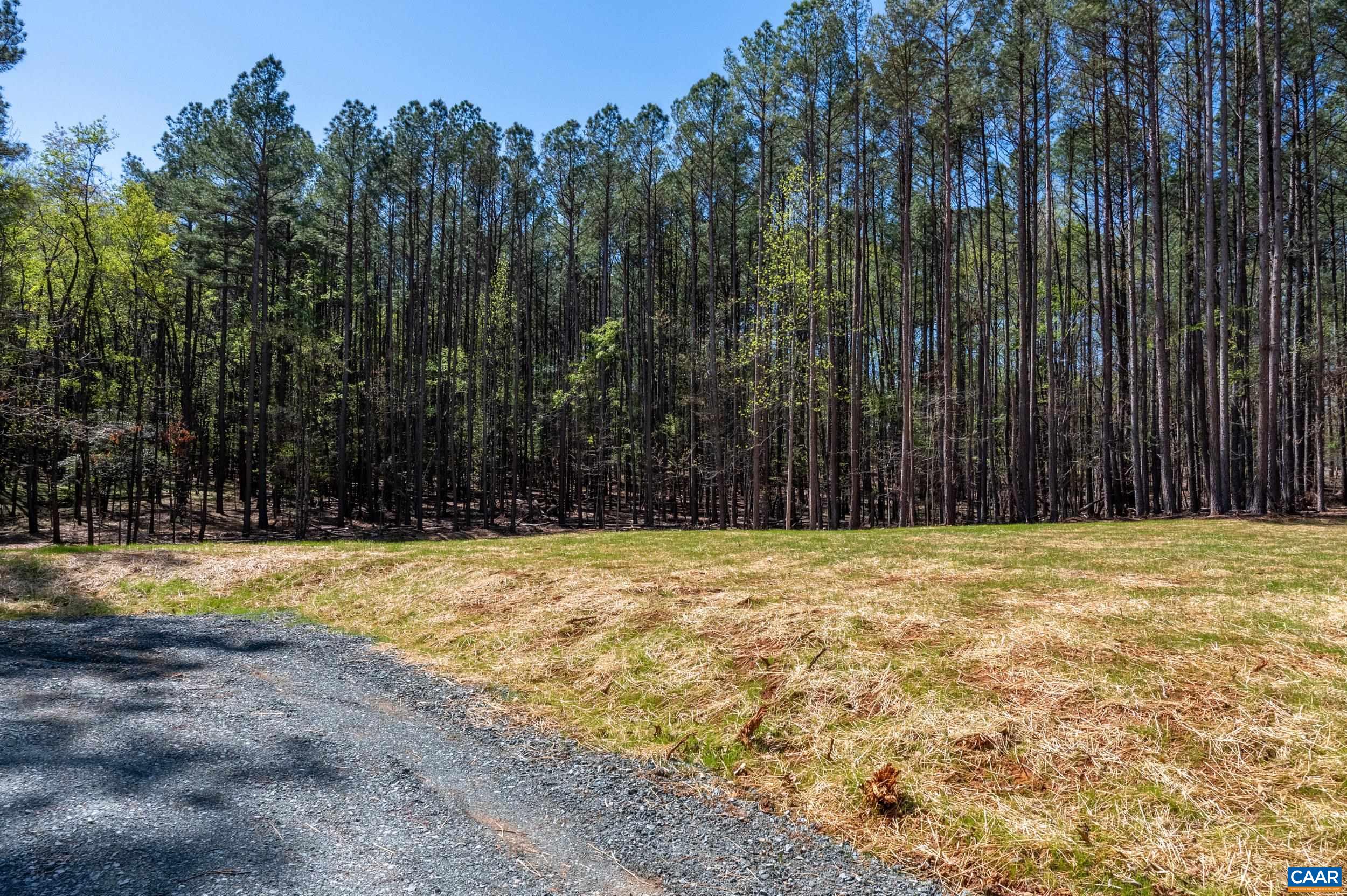 21 acres TBB GARTH GATE LN, CHARLOTTESVILLE, Virginia 22903, 4 Bedrooms Bedrooms, ,3 BathroomsBathrooms,Residential,21 acres TBB GARTH GATE LN,680077 MLS # 680077