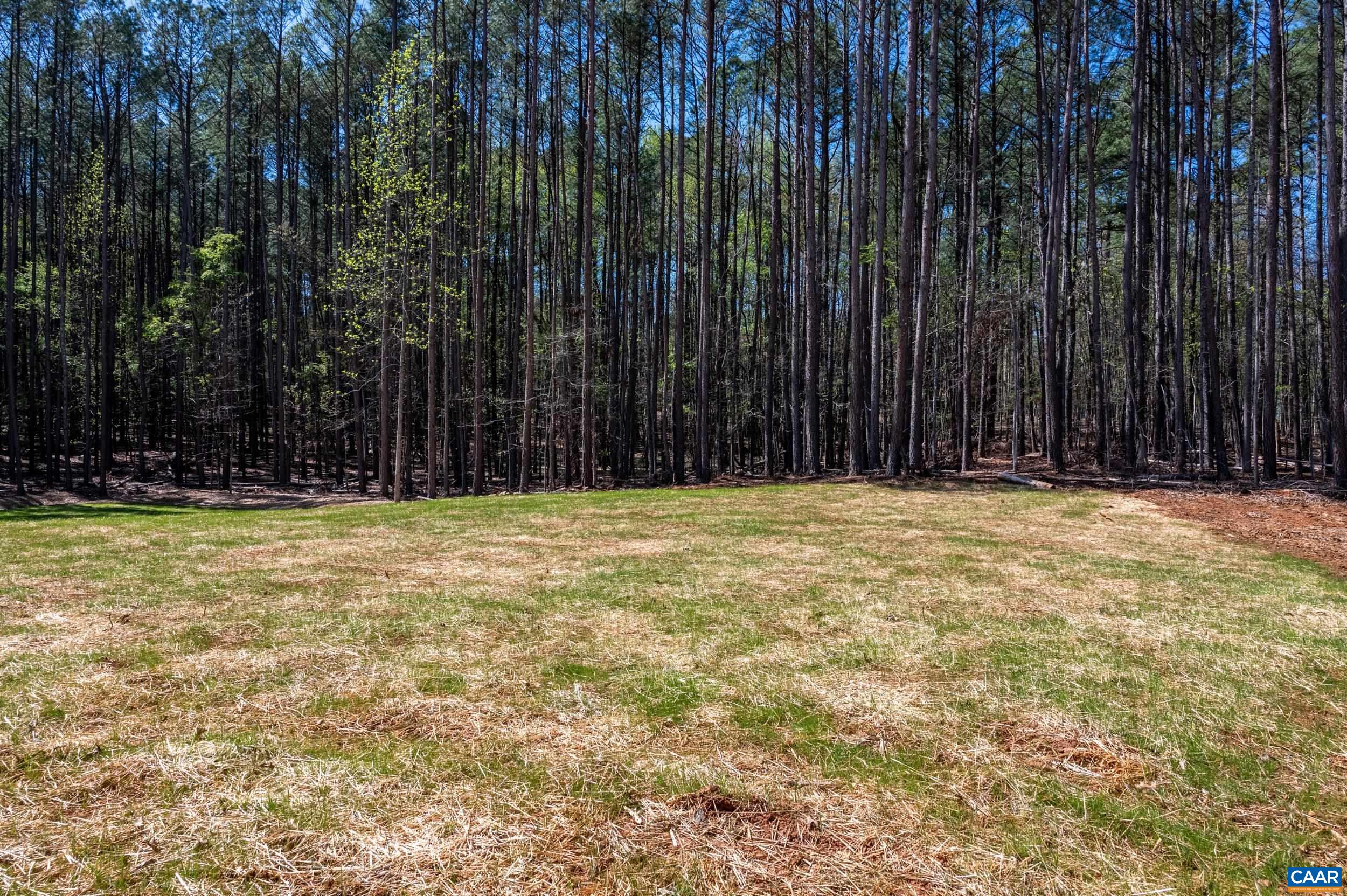 21 acres TBB GARTH GATE LN, CHARLOTTESVILLE, Virginia 22903, 4 Bedrooms Bedrooms, ,3 BathroomsBathrooms,Residential,21 acres TBB GARTH GATE LN,680077 MLS # 680077