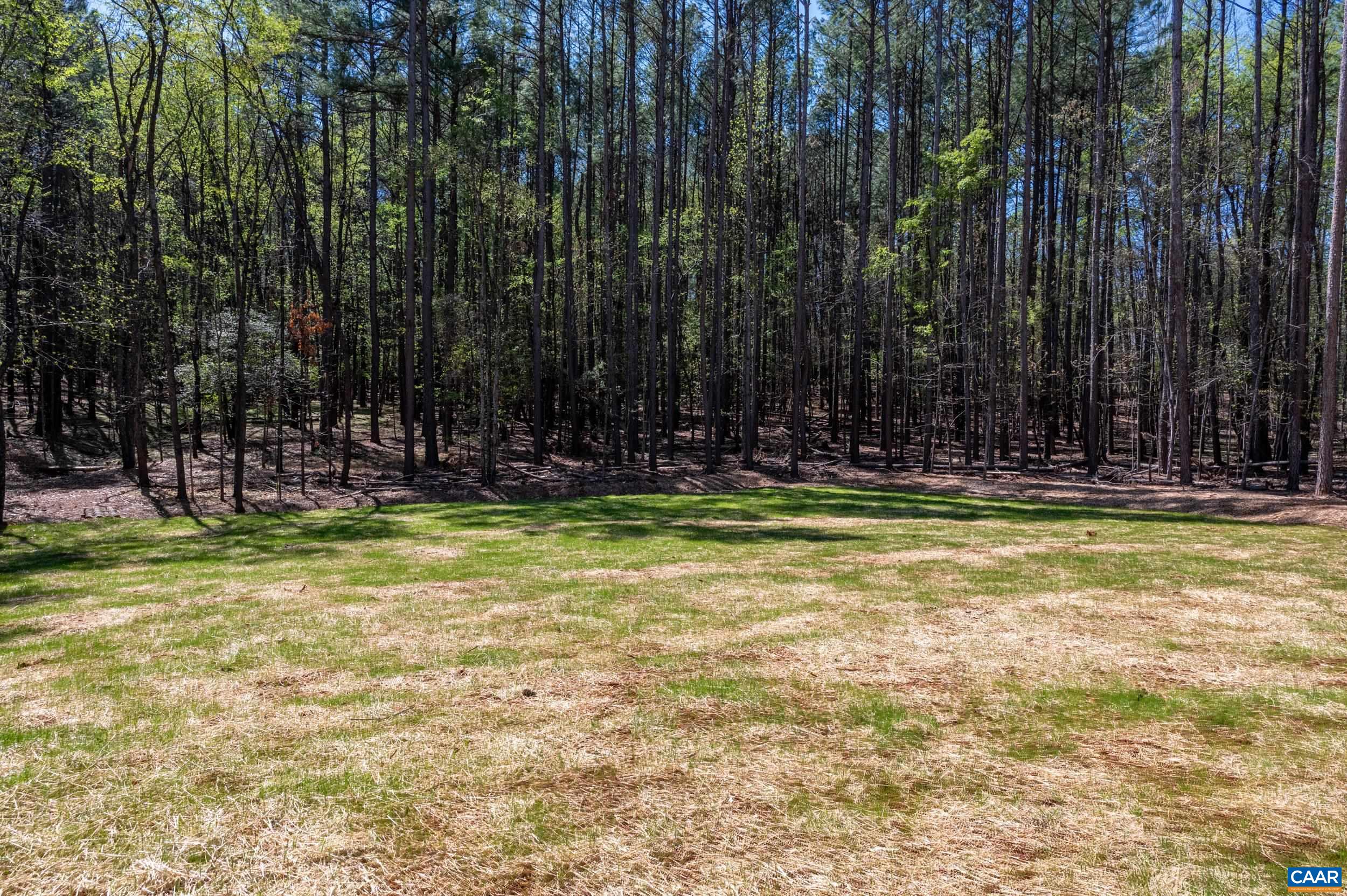 21 acres TBB GARTH GATE LN, CHARLOTTESVILLE, Virginia 22903, 4 Bedrooms Bedrooms, ,3 BathroomsBathrooms,Residential,21 acres TBB GARTH GATE LN,680077 MLS # 680077