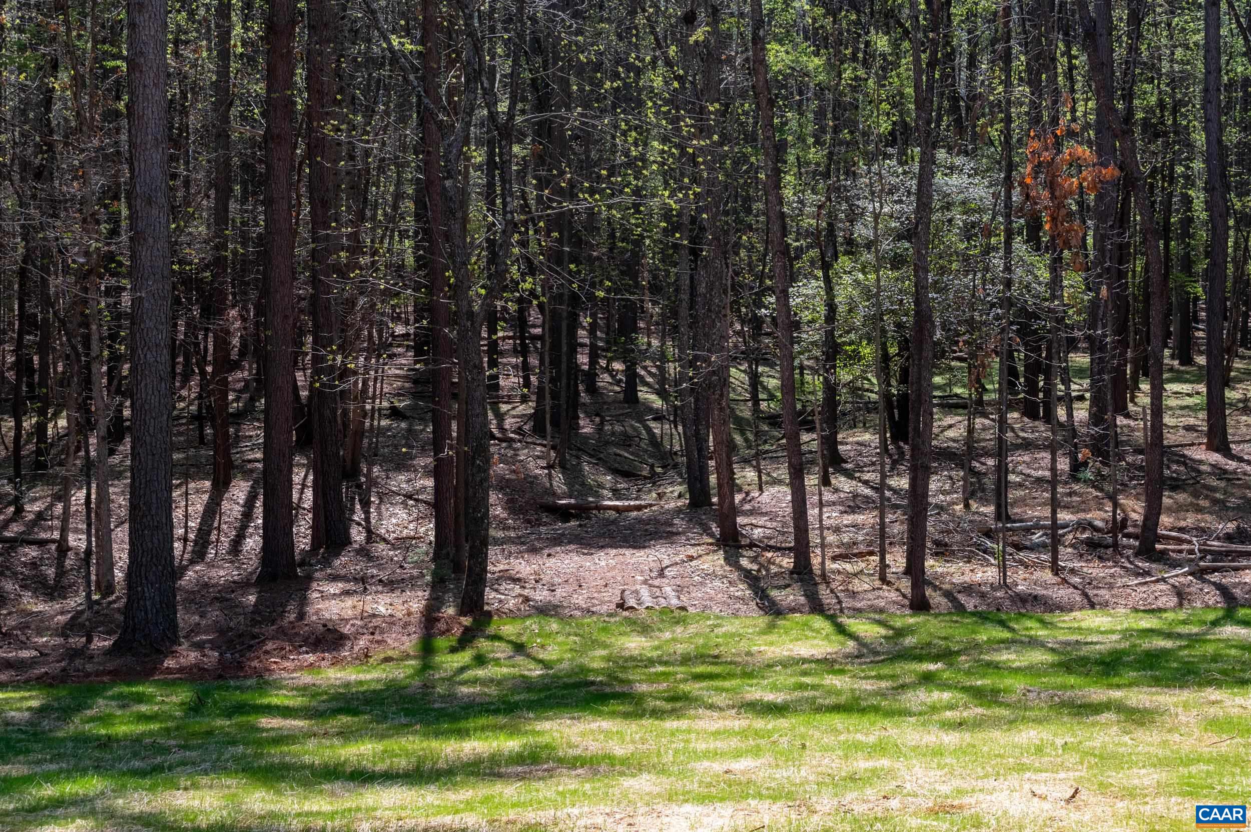 21 acres TBB GARTH GATE LN, CHARLOTTESVILLE, Virginia 22903, 4 Bedrooms Bedrooms, ,3 BathroomsBathrooms,Residential,21 acres TBB GARTH GATE LN,680077 MLS # 680077