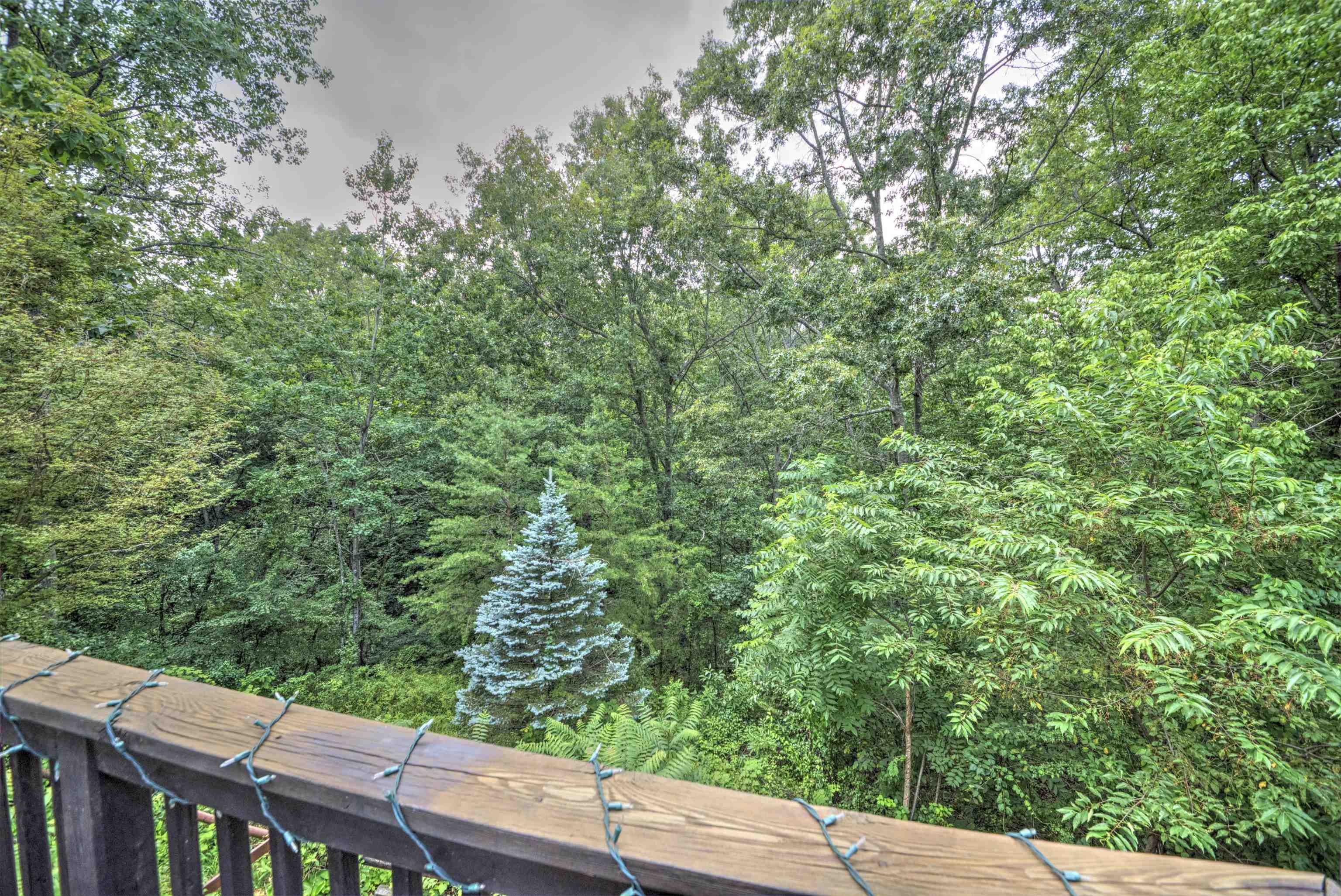183 IDLEWOOD BLVD, STAUNTON, Virginia 24401, 4 Bedrooms Bedrooms, ,2 BathroomsBathrooms,Residential,183 IDLEWOOD BLVD,680102 MLS # 680102
