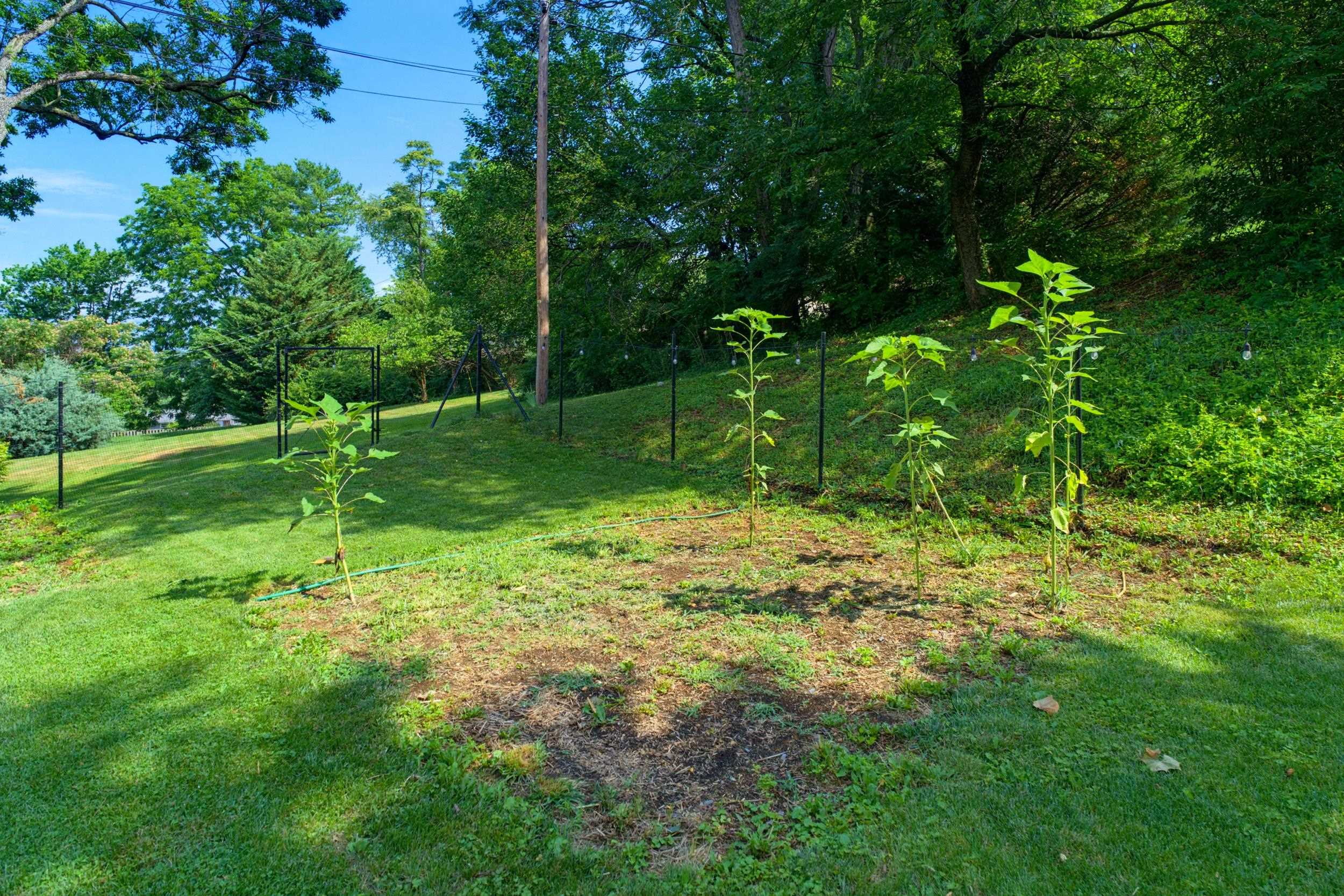 1214 WOODCREST CIR, HARRISONBURG, Virginia 22801, 3 Bedrooms Bedrooms, ,2 BathroomsBathrooms,Residential,1214 WOODCREST CIR,679963 MLS # 679963