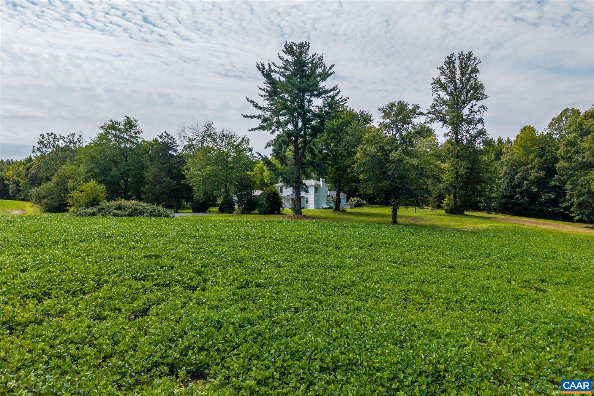 1663 WILMINGTON RD, PALMYRA, Virginia 22963, 3 Bedrooms Bedrooms, ,2 BathroomsBathrooms,Residential,Wilmington Farm,1663 WILMINGTON RD,680063 MLS # 680063 1663 WILMINGTON RD, PALMYRA, Virginia 22963, 3 Bedrooms Bedrooms, ,2 BathroomsBathrooms,Residential,Wilmington Farm,1663 WILMINGTON RD,680063 MLS # 680063