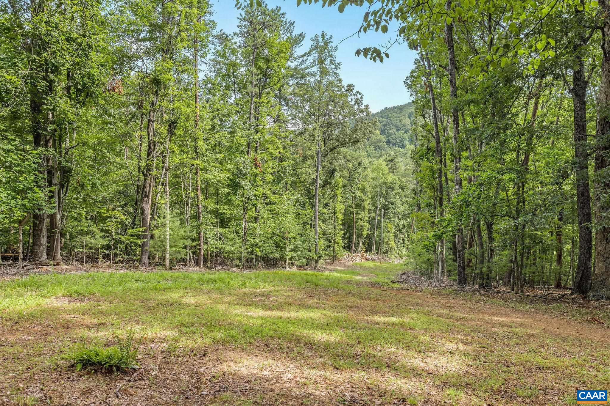 3355 PEAVINE HOLLOW RD, CROZET, Virginia 22932, 1 Bedroom Bedrooms, ,1 BathroomBathrooms,Residential,3355 PEAVINE HOLLOW RD,680098 MLS # 680098 3355 PEAVINE HOLLOW RD, CROZET, Virginia 22932, 1 Bedroom Bedrooms, ,1 BathroomBathrooms,Residential,3355 PEAVINE HOLLOW RD,680098 MLS # 680098