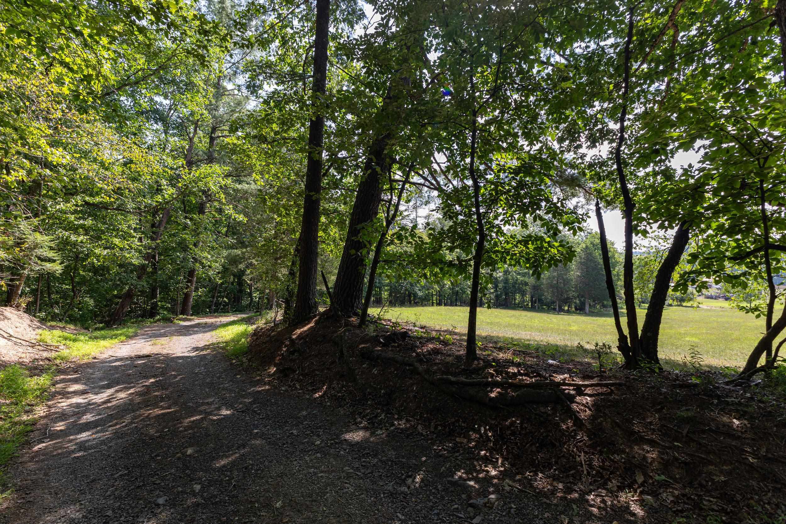0 ALUM SPRINGS RD, BASYE, Virginia 22810, ,Land,0 ALUM SPRINGS RD,680122 MLS # 680122 0 ALUM SPRINGS RD, BASYE, Virginia 22810, ,Land,0 ALUM SPRINGS RD,680122 MLS # 680122