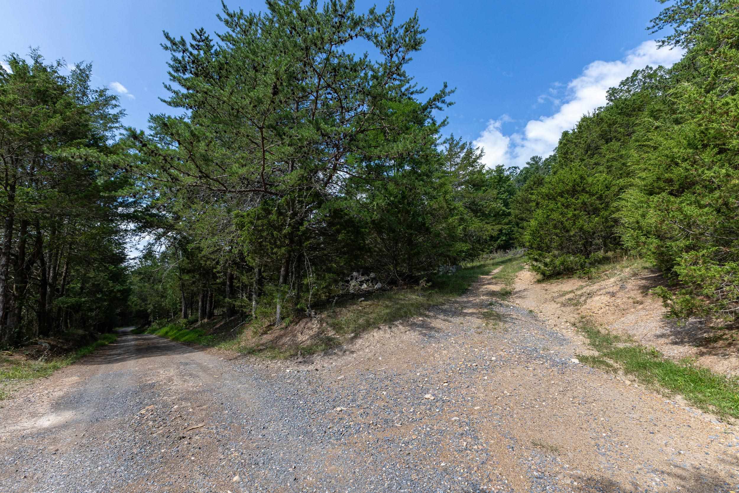 0 ALUM SPRINGS RD, BASYE, Virginia 22810, ,Land,0 ALUM SPRINGS RD,680122 MLS # 680122 0 ALUM SPRINGS RD, BASYE, Virginia 22810, ,Land,0 ALUM SPRINGS RD,680122 MLS # 680122