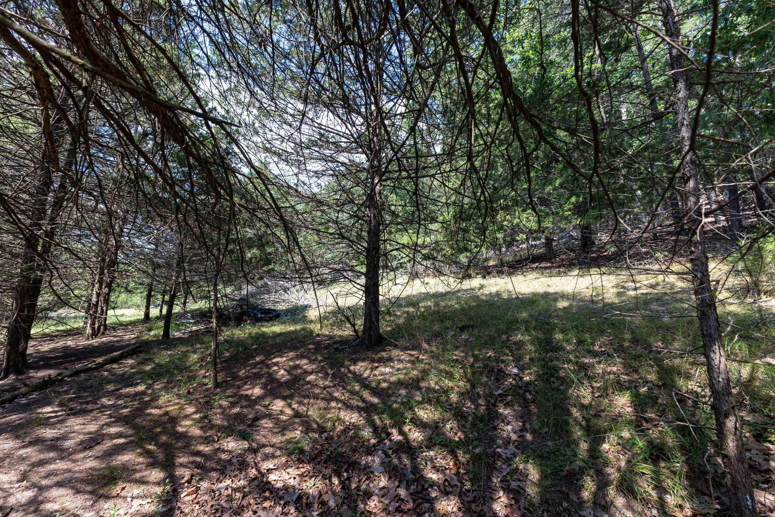 0 ALUM SPRINGS RD, BASYE, Virginia 22810, ,Land,0 ALUM SPRINGS RD,680122 MLS # 680122 0 ALUM SPRINGS RD, BASYE, Virginia 22810, ,Land,0 ALUM SPRINGS RD,680122 MLS # 680122