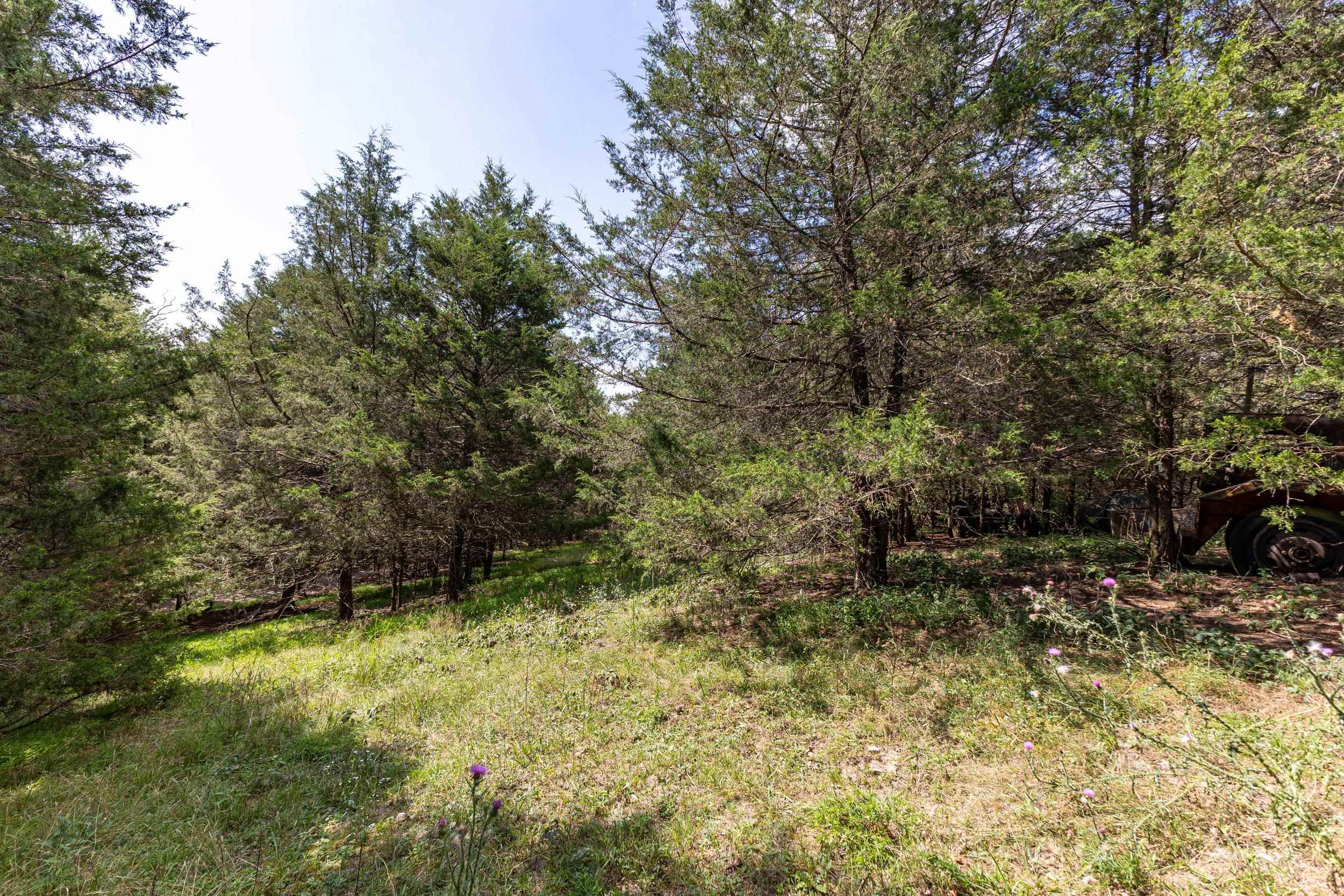0 ALUM SPRINGS RD, BASYE, Virginia 22810, ,Land,0 ALUM SPRINGS RD,680122 MLS # 680122 0 ALUM SPRINGS RD, BASYE, Virginia 22810, ,Land,0 ALUM SPRINGS RD,680122 MLS # 680122