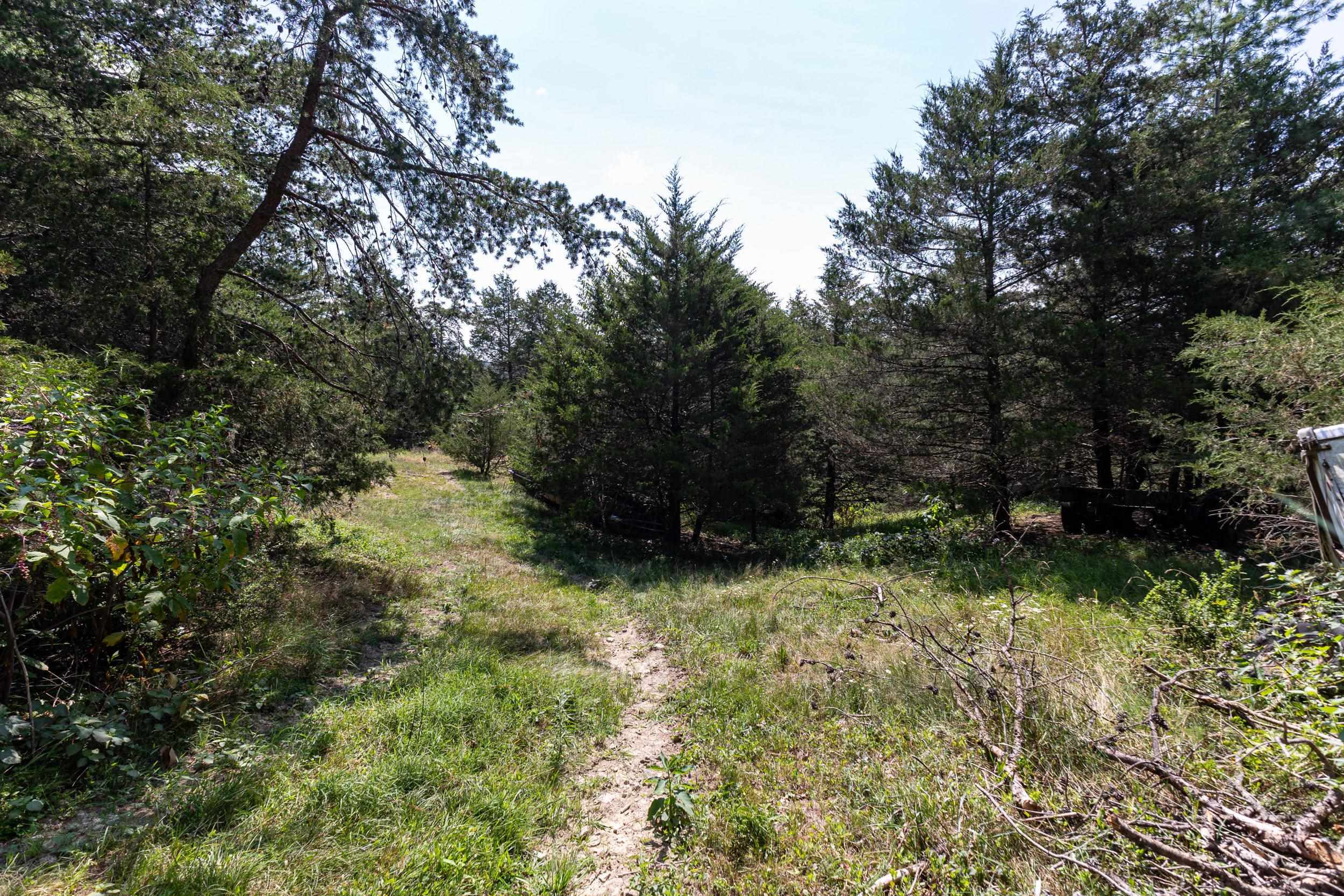 0 ALUM SPRINGS RD, BASYE, Virginia 22810, ,Land,0 ALUM SPRINGS RD,680122 MLS # 680122 0 ALUM SPRINGS RD, BASYE, Virginia 22810, ,Land,0 ALUM SPRINGS RD,680122 MLS # 680122