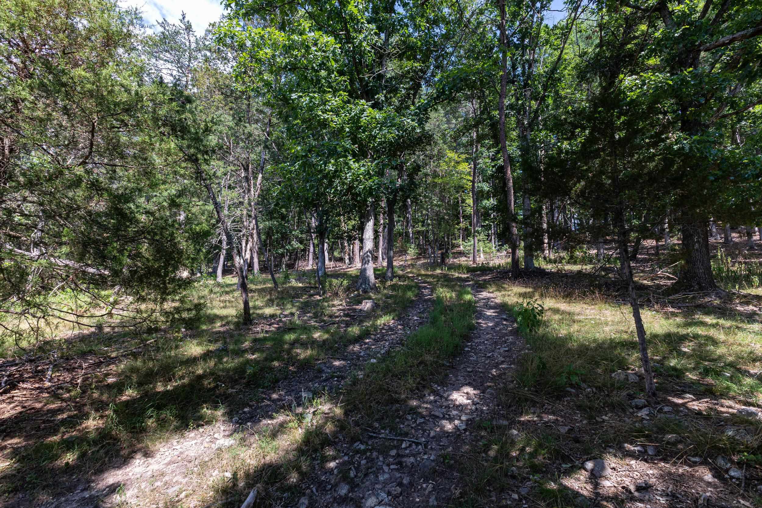 0 ALUM SPRINGS RD, BASYE, Virginia 22810, ,Land,0 ALUM SPRINGS RD,680122 MLS # 680122 0 ALUM SPRINGS RD, BASYE, Virginia 22810, ,Land,0 ALUM SPRINGS RD,680122 MLS # 680122