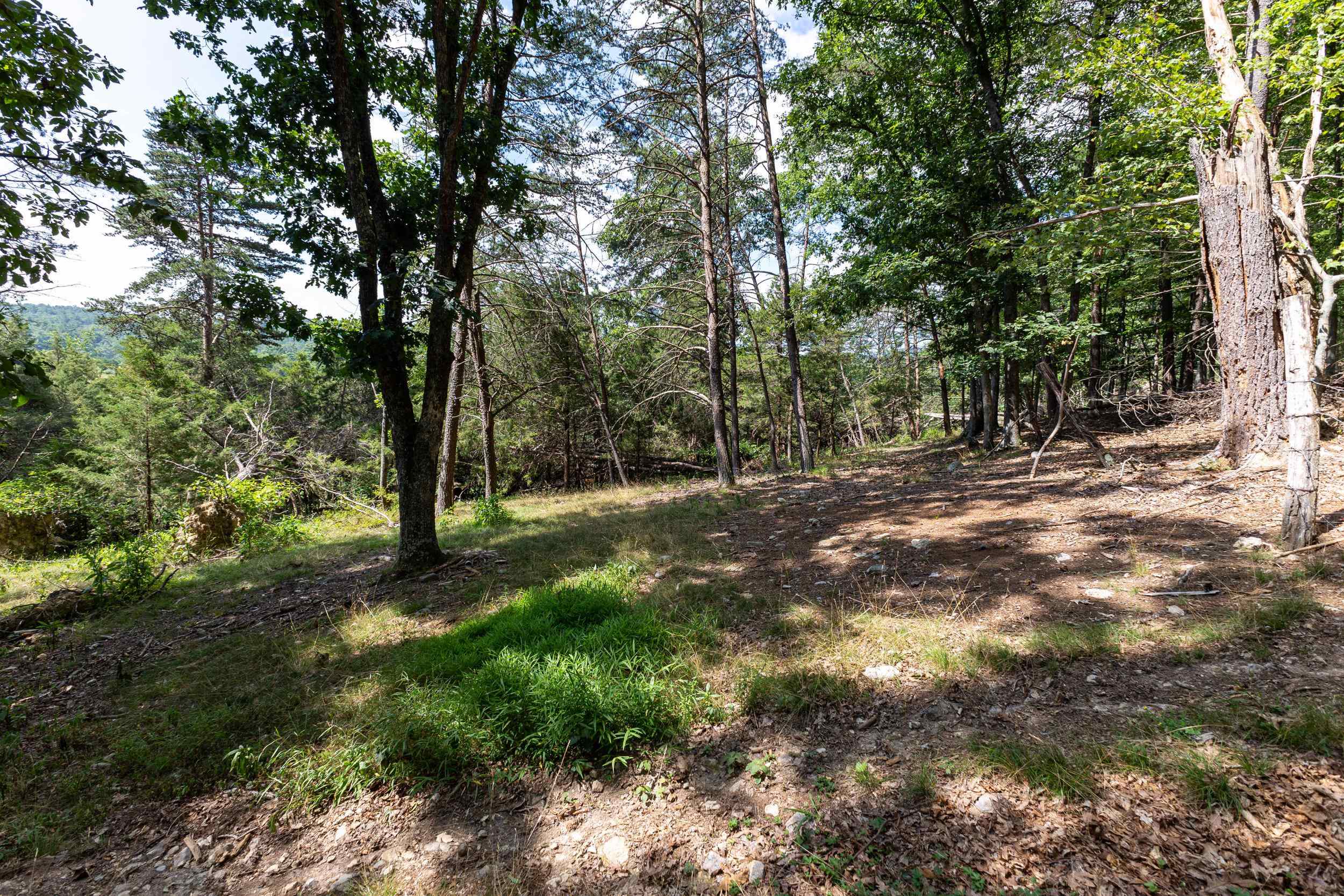 0 ALUM SPRINGS RD, BASYE, Virginia 22810, ,Land,0 ALUM SPRINGS RD,680122 MLS # 680122 0 ALUM SPRINGS RD, BASYE, Virginia 22810, ,Land,0 ALUM SPRINGS RD,680122 MLS # 680122