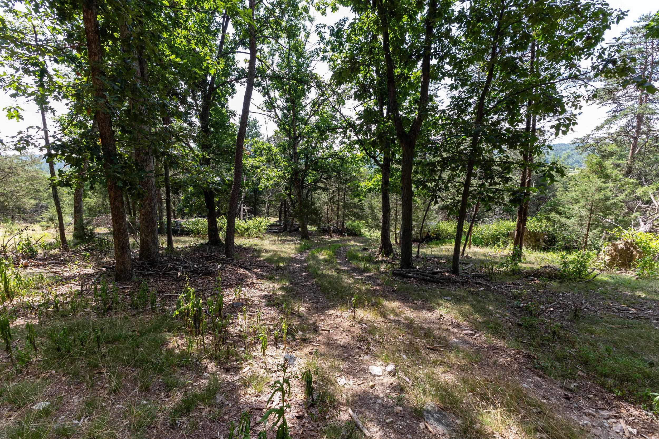 0 ALUM SPRINGS RD, BASYE, Virginia 22810, ,Land,0 ALUM SPRINGS RD,680122 MLS # 680122 0 ALUM SPRINGS RD, BASYE, Virginia 22810, ,Land,0 ALUM SPRINGS RD,680122 MLS # 680122