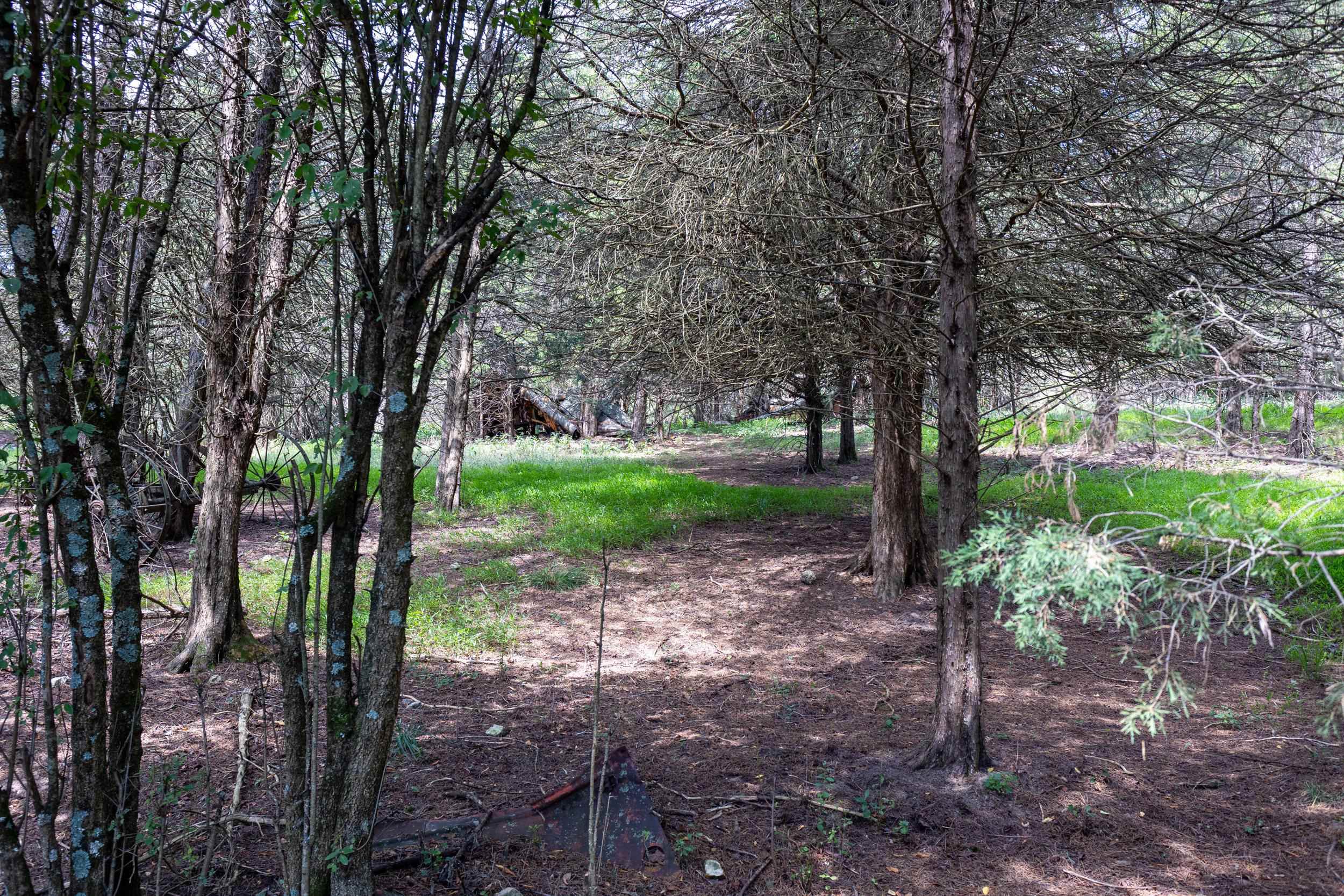 0 ALUM SPRINGS RD, BASYE, Virginia 22810, ,Land,0 ALUM SPRINGS RD,680122 MLS # 680122 0 ALUM SPRINGS RD, BASYE, Virginia 22810, ,Land,0 ALUM SPRINGS RD,680122 MLS # 680122
