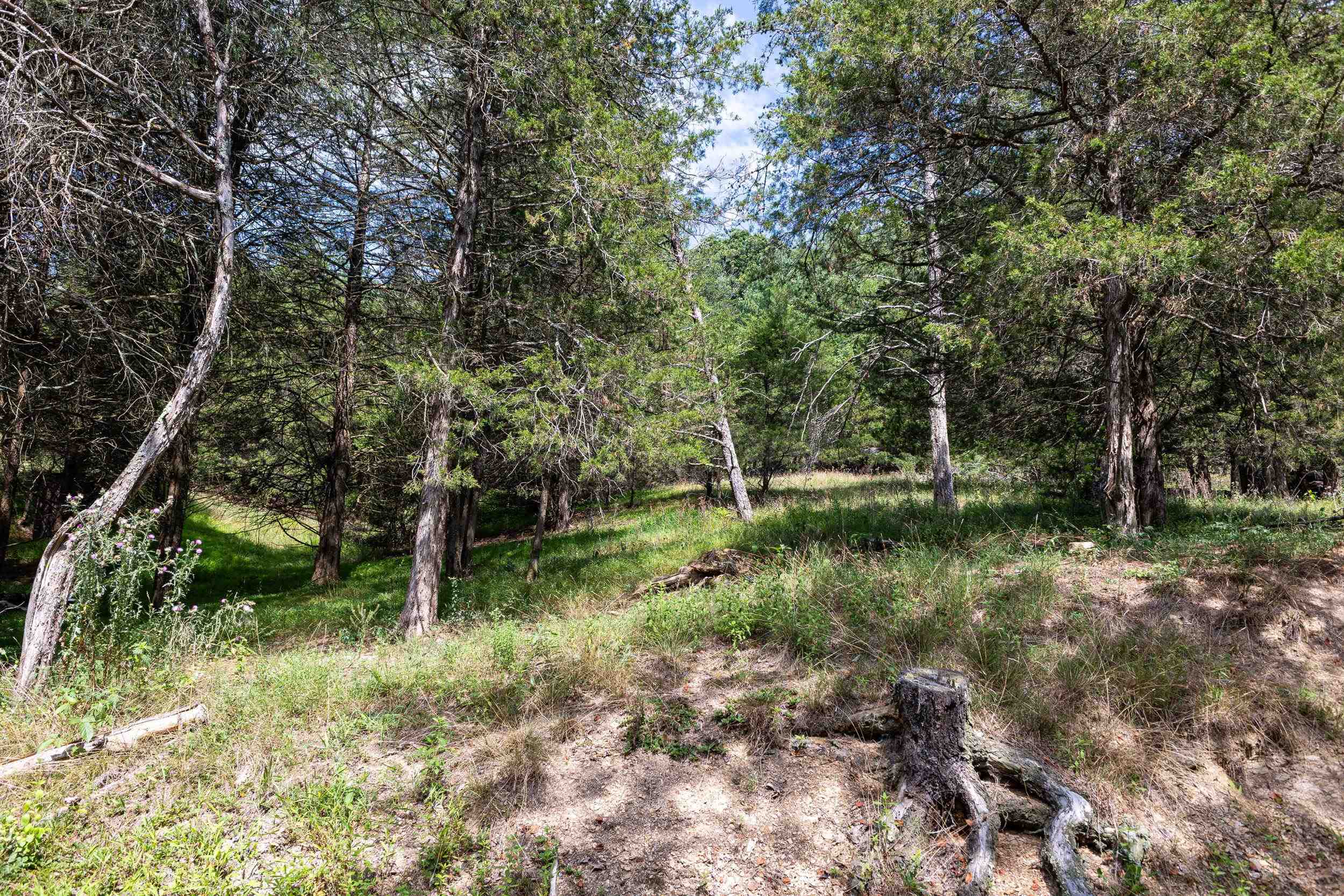 0 ALUM SPRINGS RD, BASYE, Virginia 22810, ,Land,0 ALUM SPRINGS RD,680122 MLS # 680122 0 ALUM SPRINGS RD, BASYE, Virginia 22810, ,Land,0 ALUM SPRINGS RD,680122 MLS # 680122