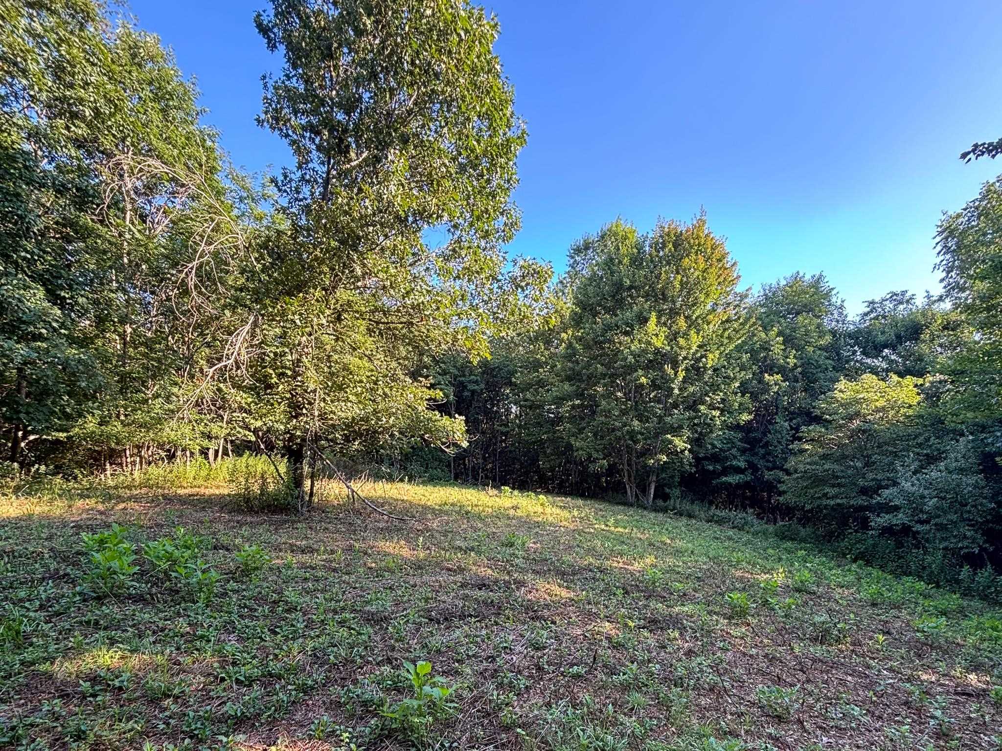 TBD BROADHEAD SCHOOL RD, MIDDLEBROOK, Virginia 24459, ,Land,TBD BROADHEAD SCHOOL RD,680142 MLS # 680142