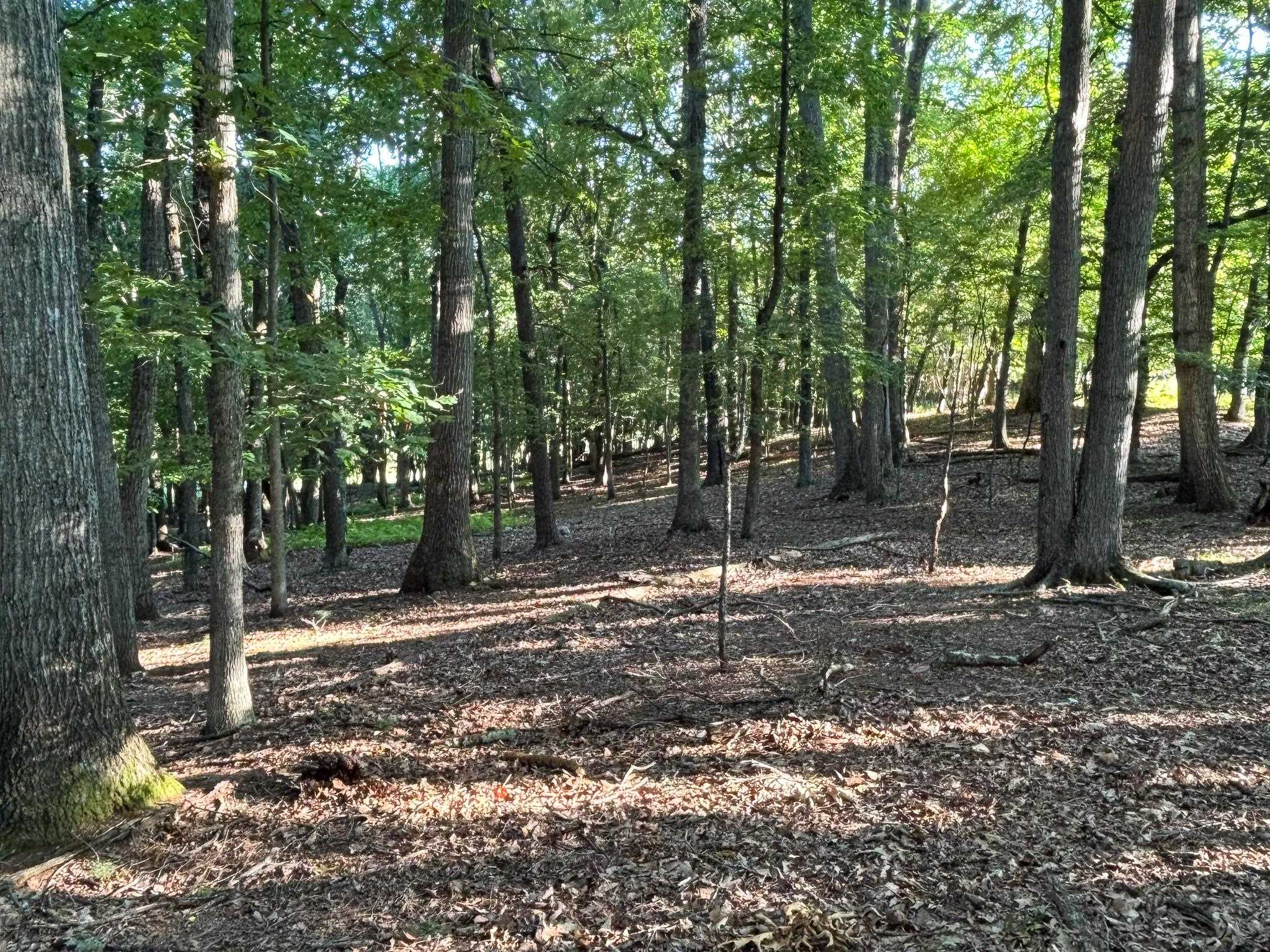 TBD BROADHEAD SCHOOL RD, MIDDLEBROOK, Virginia 24459, ,Land,TBD BROADHEAD SCHOOL RD,680142 MLS # 680142