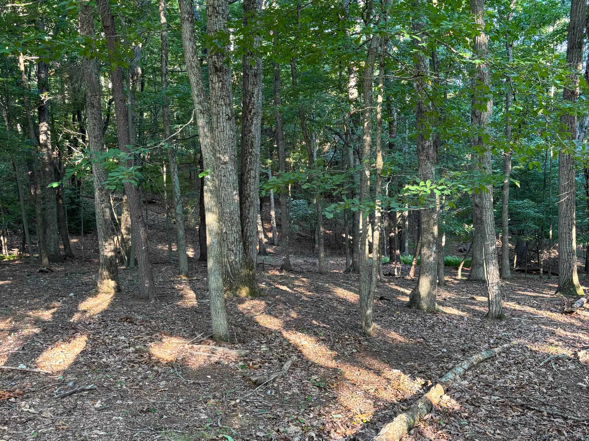 TBD BROADHEAD SCHOOL RD, MIDDLEBROOK, Virginia 24459, ,Land,TBD BROADHEAD SCHOOL RD,680142 MLS # 680142