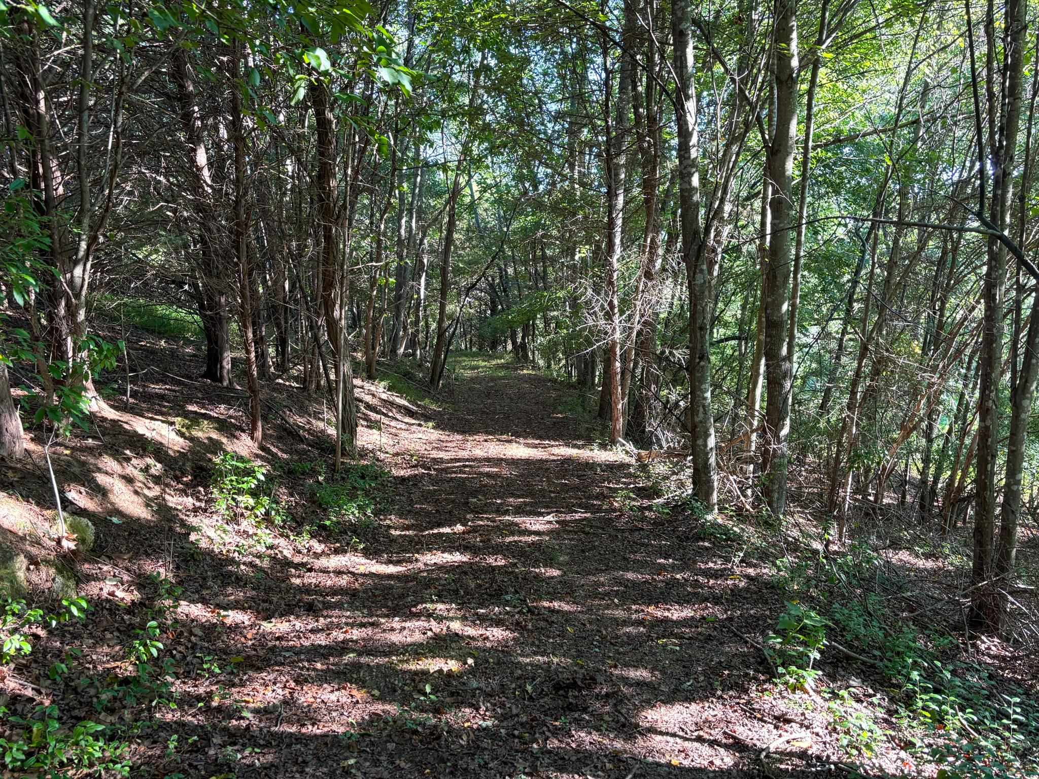 TBD BROADHEAD SCHOOL RD, MIDDLEBROOK, Virginia 24459, ,Land,TBD BROADHEAD SCHOOL RD,680142 MLS # 680142