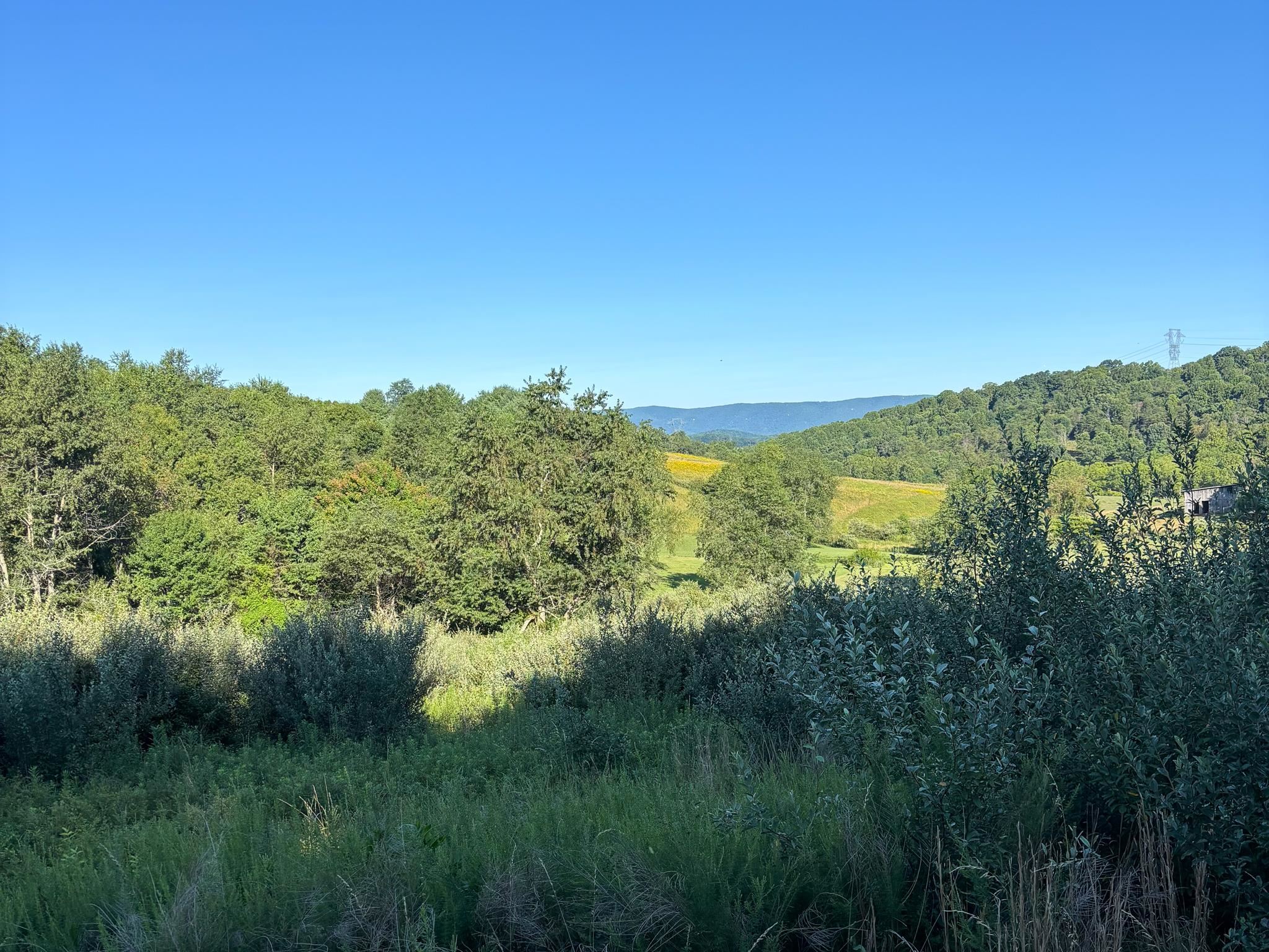 TBD BROADHEAD SCHOOL RD, MIDDLEBROOK, Virginia 24459, ,Land,TBD BROADHEAD SCHOOL RD,680142 MLS # 680142