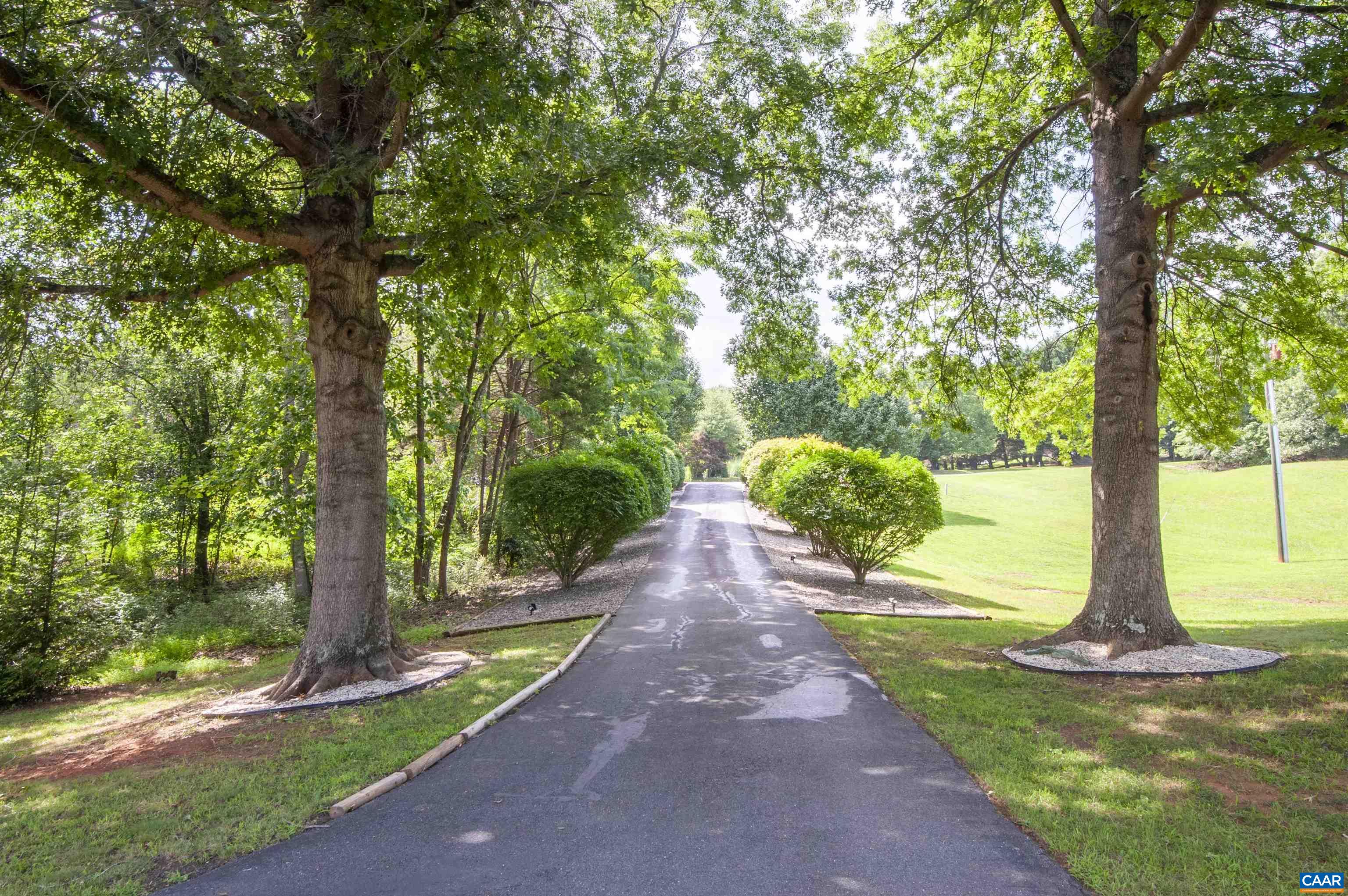 5300 QUINTFIELD DR, EARLYSVILLE, Virginia 22936, 4 Bedrooms Bedrooms, ,3 BathroomsBathrooms,Residential,5300 QUINTFIELD DR,679863 MLS # 679863 5300 QUINTFIELD DR, EARLYSVILLE, Virginia 22936, 4 Bedrooms Bedrooms, ,3 BathroomsBathrooms,Residential,5300 QUINTFIELD DR,679863 MLS # 679863