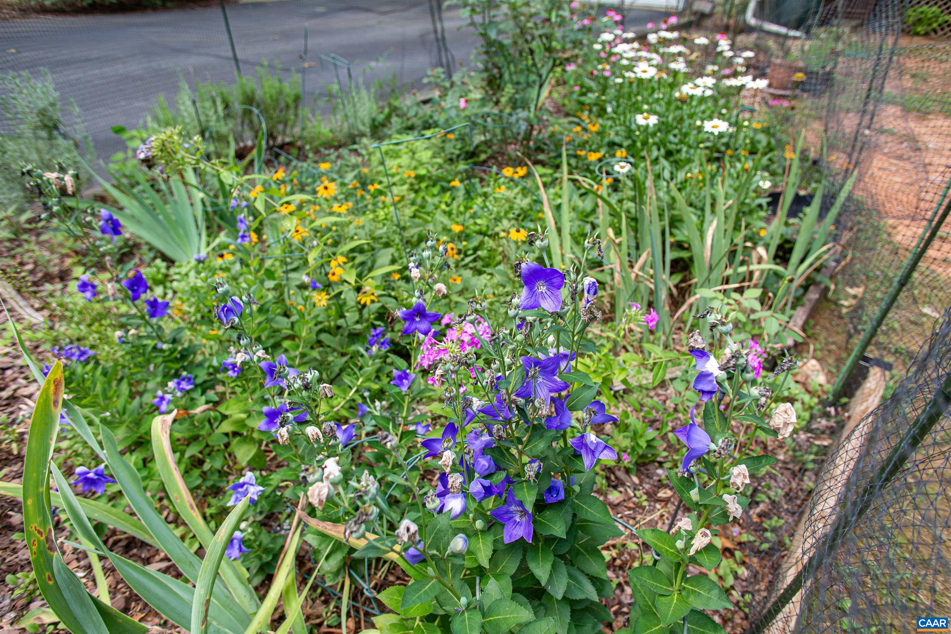 Wildflower gardens throughout the yard. Wildflower gardens throughout the yard.