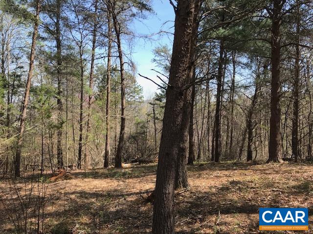 00 HIDEAWAY RDG, STANARDSVILLE, Virginia 22973, ,Land,00 HIDEAWAY RDG,675312 MLS # 675312 00 HIDEAWAY RDG, STANARDSVILLE, Virginia 22973, ,Land,00 HIDEAWAY RDG,675312 MLS # 675312