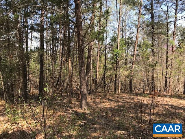 00 HIDEAWAY RDG, STANARDSVILLE, Virginia 22973, ,Land,00 HIDEAWAY RDG,675312 MLS # 675312 00 HIDEAWAY RDG, STANARDSVILLE, Virginia 22973, ,Land,00 HIDEAWAY RDG,675312 MLS # 675312