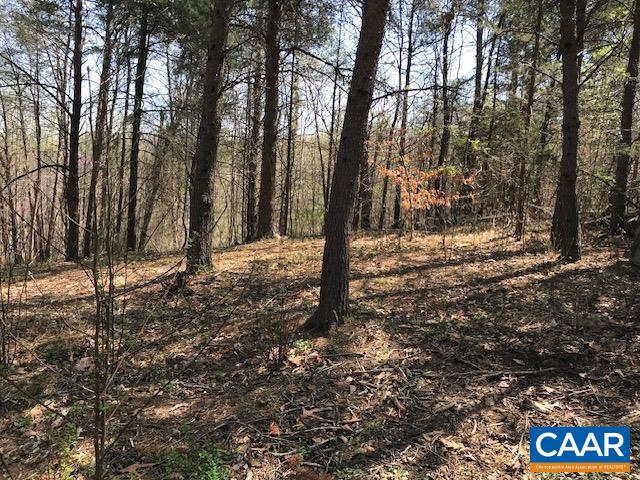 00 HIDEAWAY RDG, STANARDSVILLE, Virginia 22973, ,Land,00 HIDEAWAY RDG,675312 MLS # 675312 00 HIDEAWAY RDG, STANARDSVILLE, Virginia 22973, ,Land,00 HIDEAWAY RDG,675312 MLS # 675312